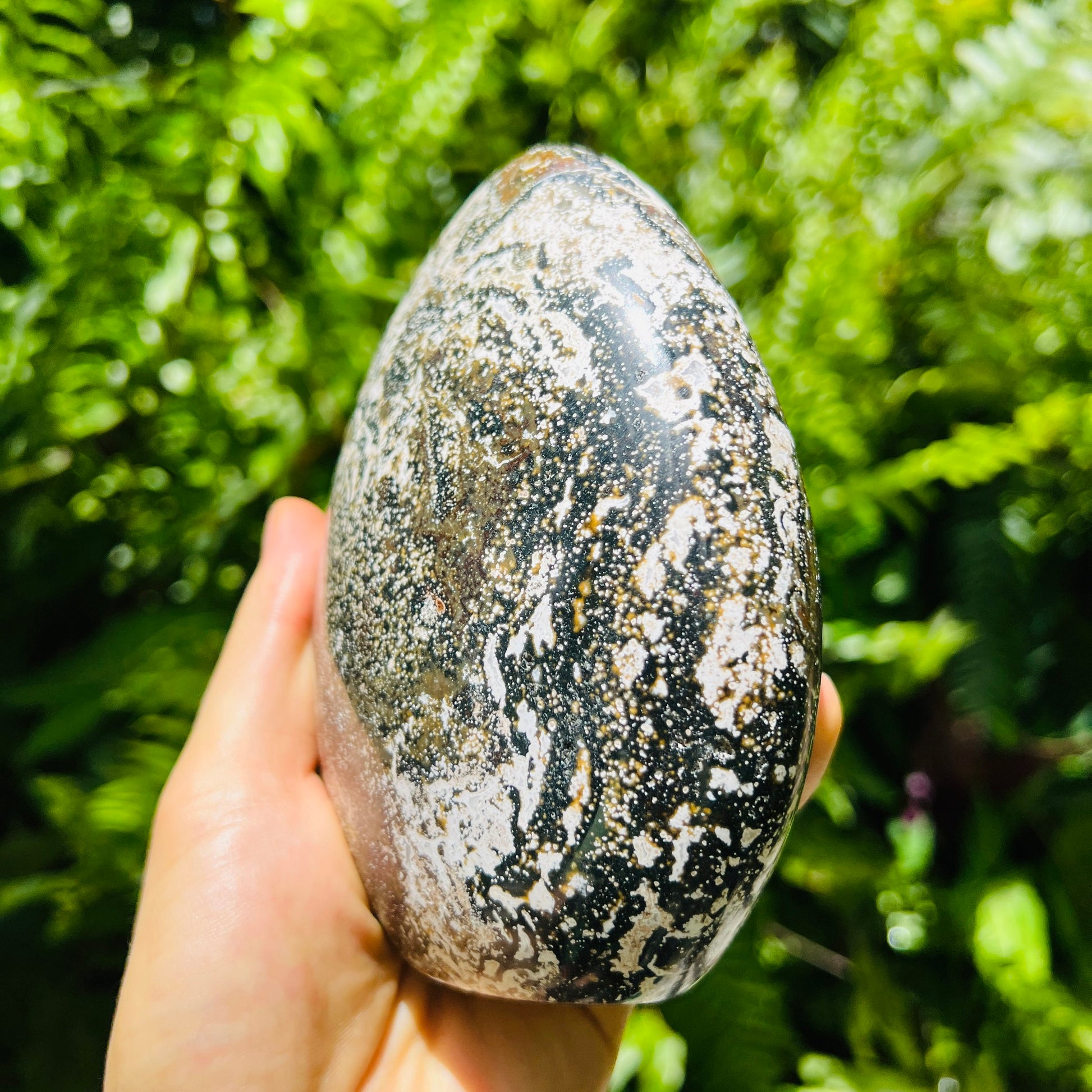 Back view of Grade A Ocean Jasper freeform showing natural surface