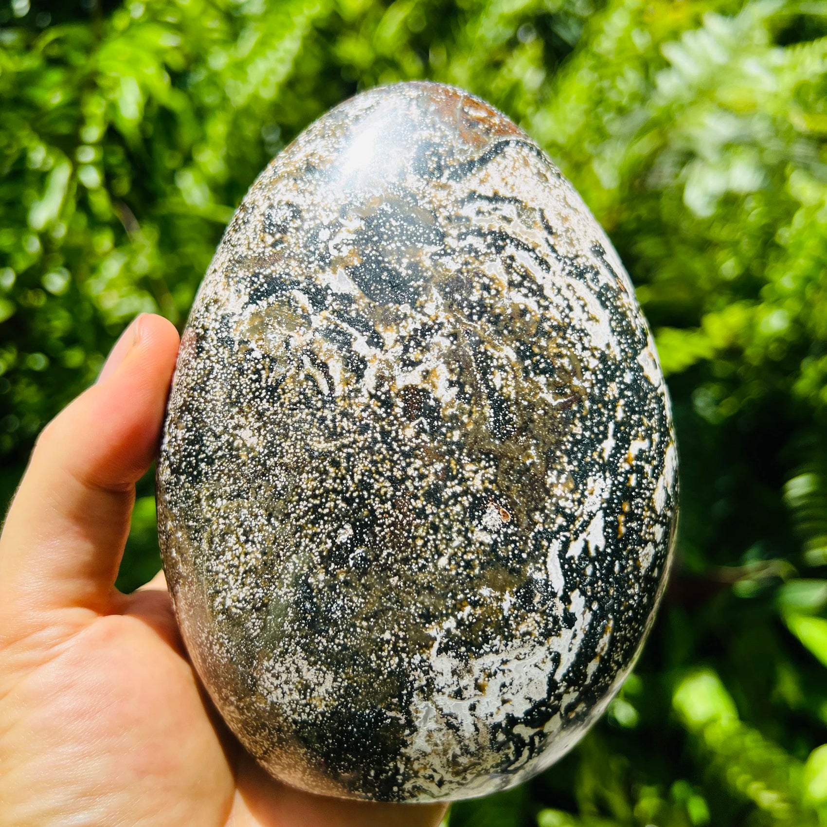 Detail shot of Grade A Ocean Jasper freeform under natural light