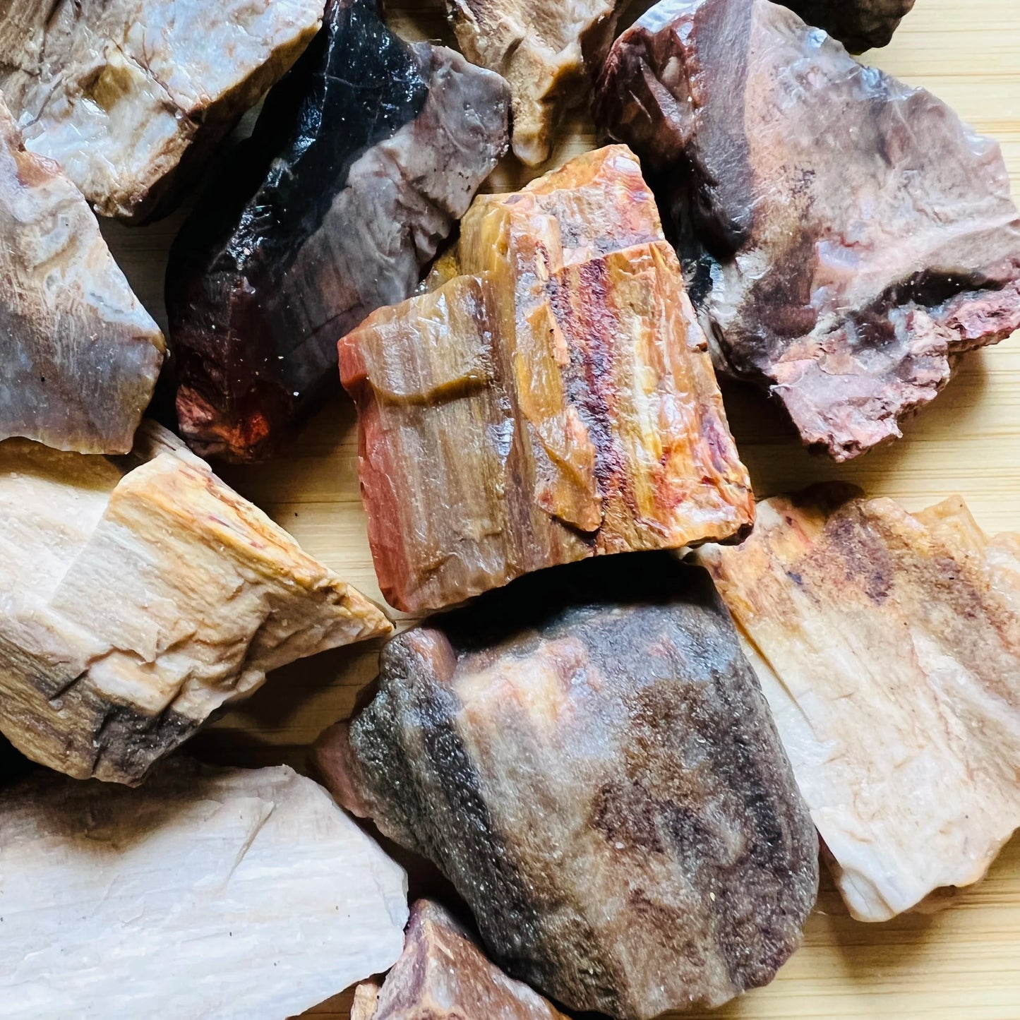 Full profile of Grade A Petrified Wood raw ready to ship from Beyond Bohemian