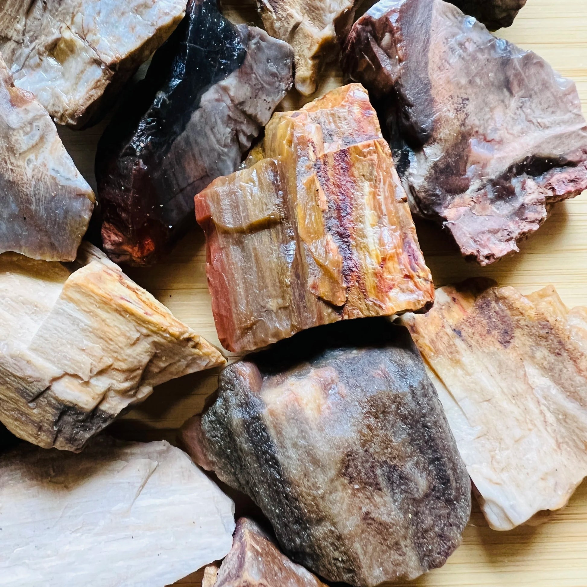 Full profile of Grade A Petrified Wood raw ready to ship from Beyond Bohemian
