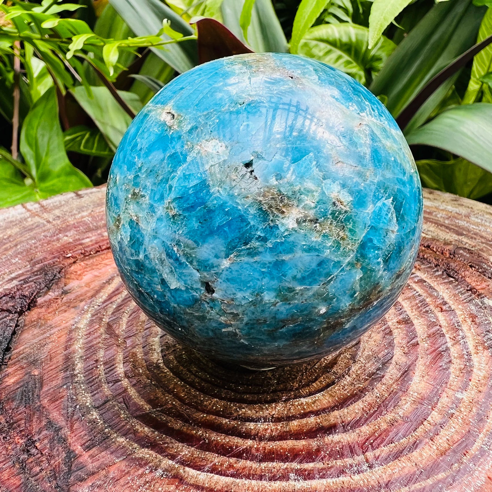 Held in hand, a Apatite polished sphere often paired with practices around Focus, Madagascar-sourced.