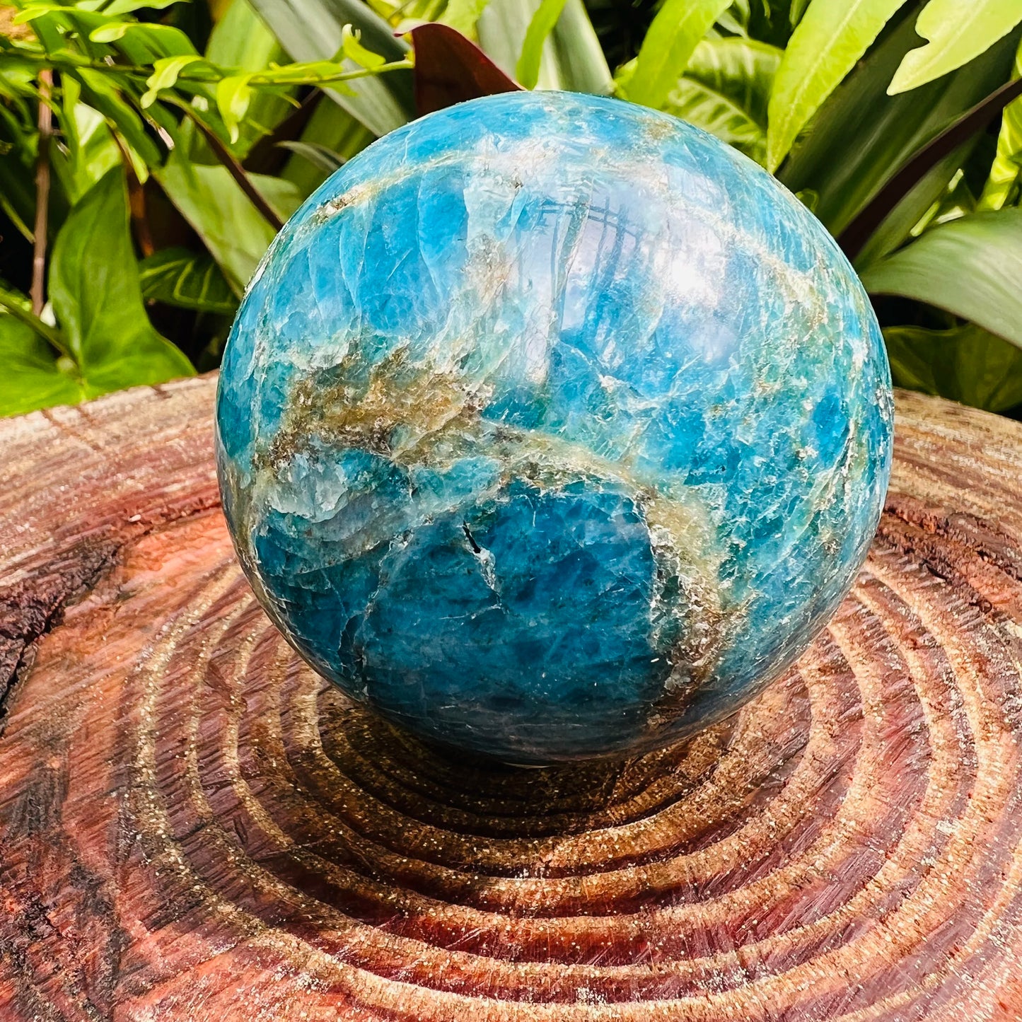 Considered view of Apatite stone, often kept for Intuition, showing the piece in repose.
