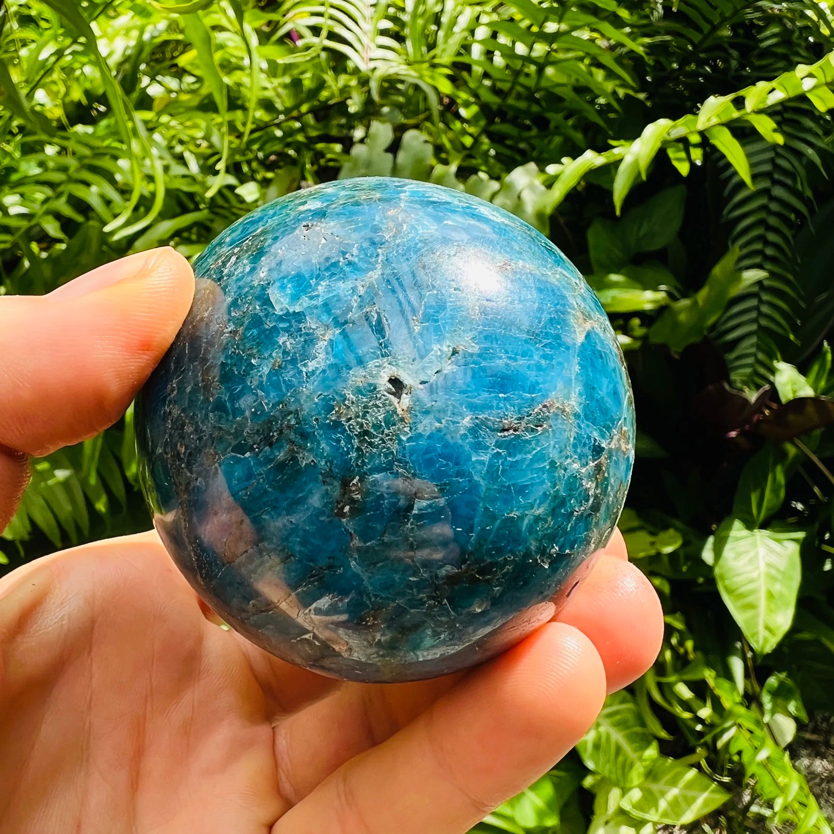Rear view of Grade AA Apatite polished sphere, for Focus, showing glassy finish.
