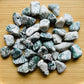 Holding a Tree Agate tumbled stone, from Francistown, Botswana, often kept for Grounding, shown in a calm studio setting.