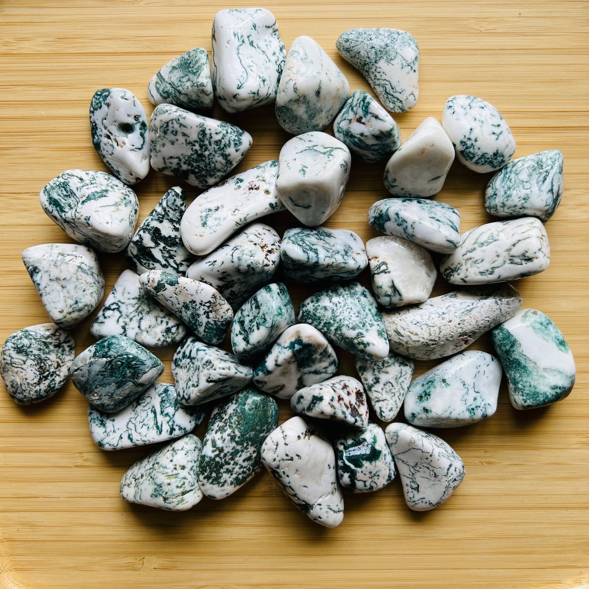Holding a Tree Agate tumbled stone, from Francistown, Botswana, often kept for Grounding, shown in a calm studio setting.