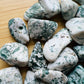 Detail shot of Grade A Tree Agate tumbled stone under natural light