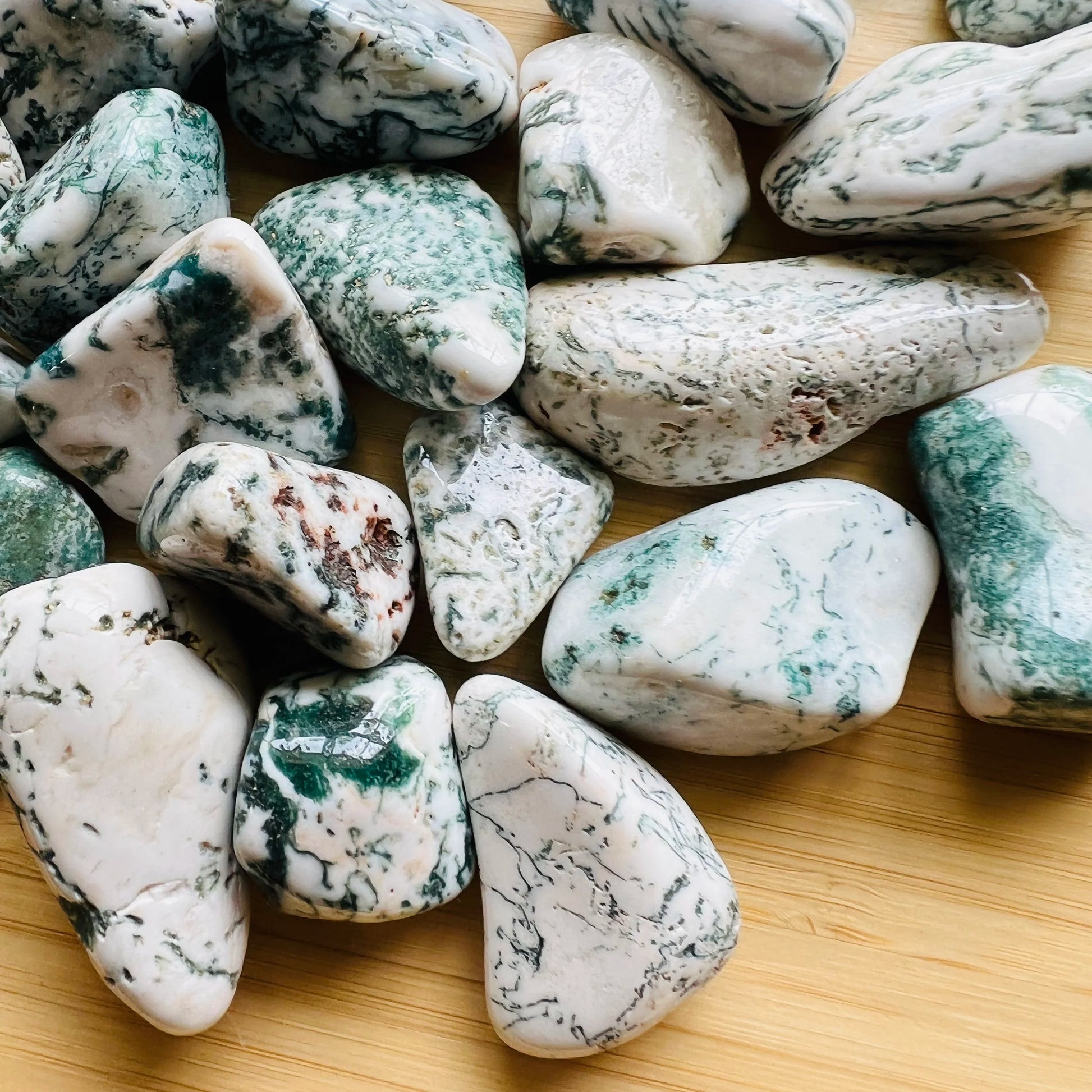 Full profile of Grade A Tree Agate tumbled stone ready to ship from Beyond Bohemian