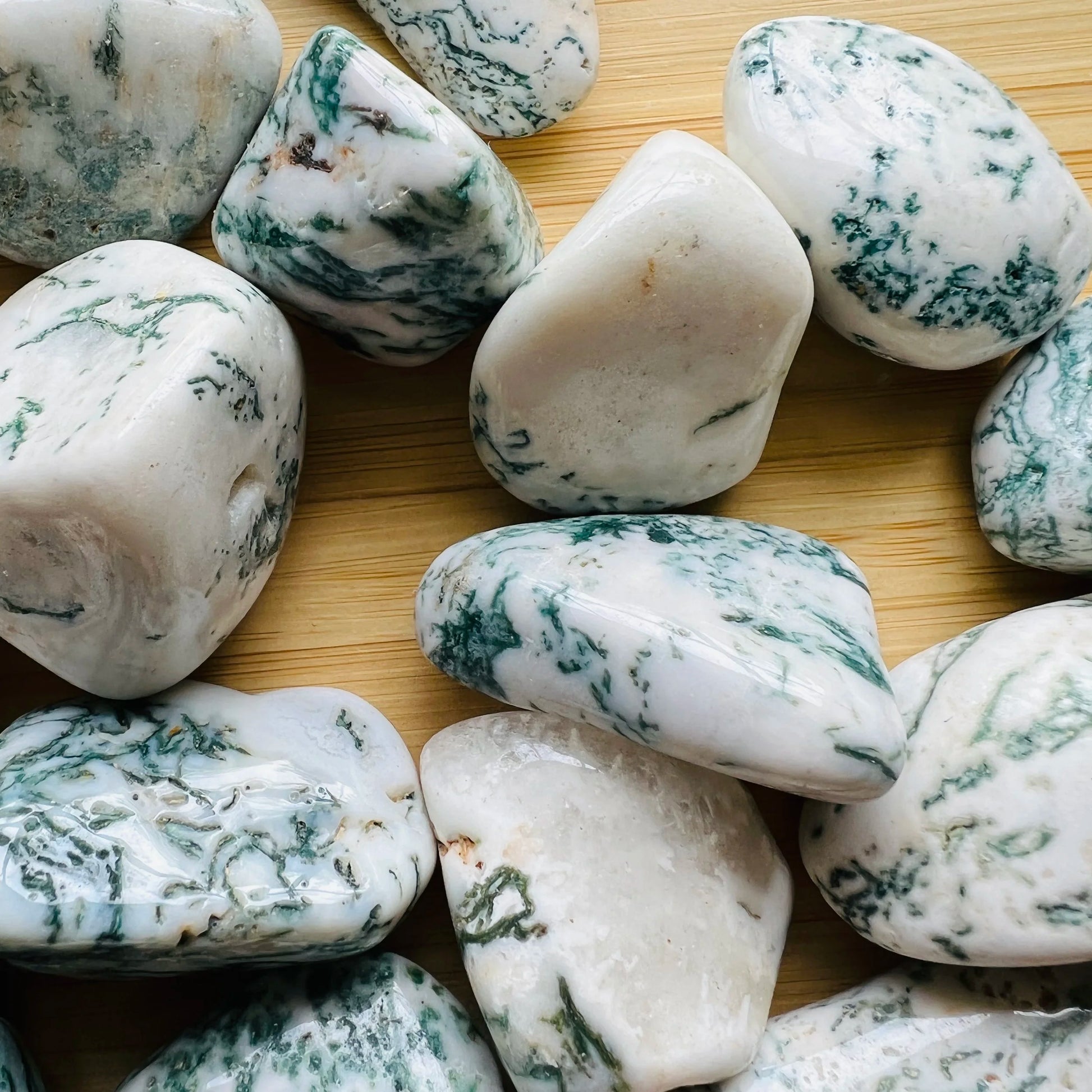 Full profile of Grade A Tree Agate tumbled stone ready to ship from Beyond Bohemian