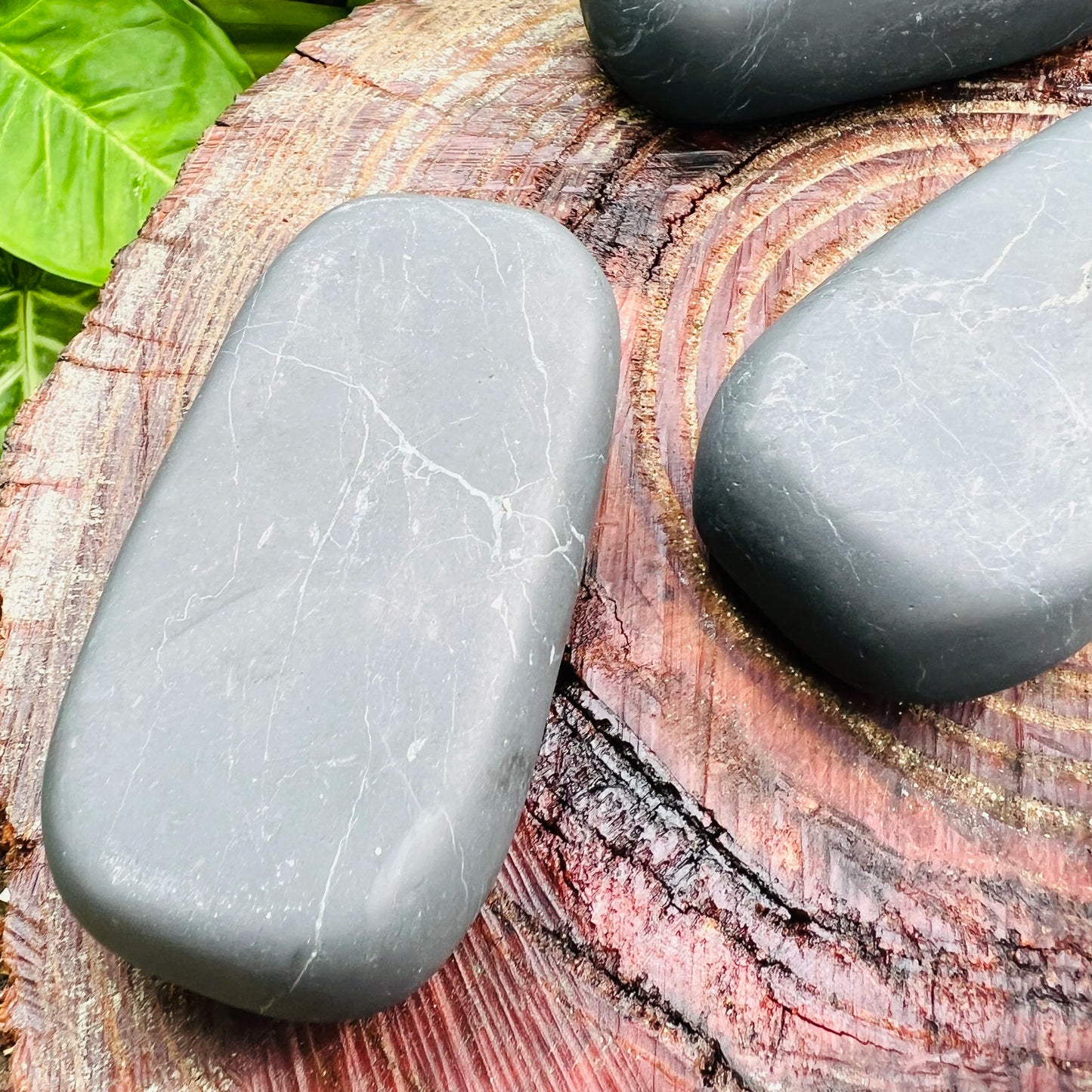 Held in hand, one Shungite palm stone for scale, Russia-sourced.