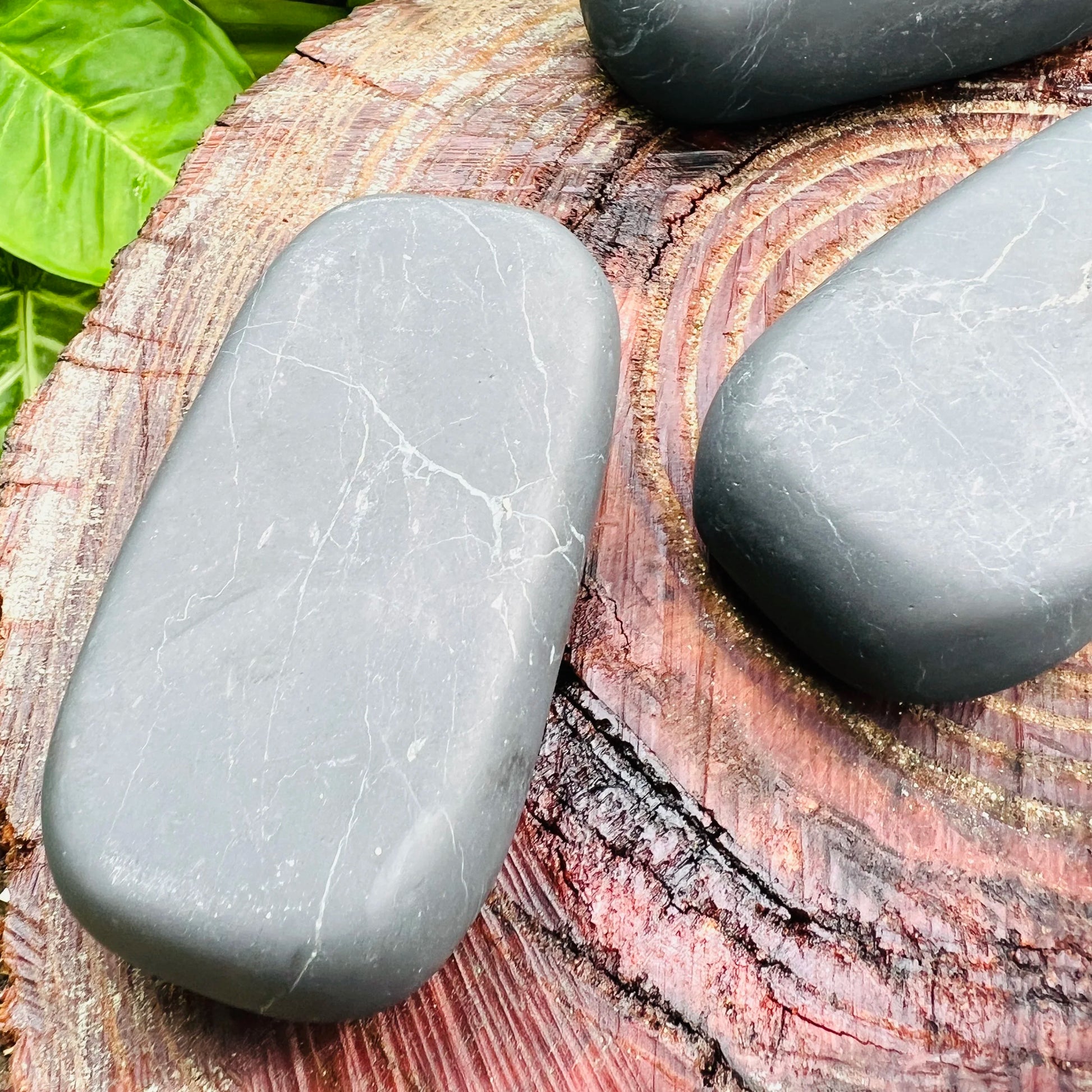Held in hand, one Shungite palm stone for scale, Russia-sourced.