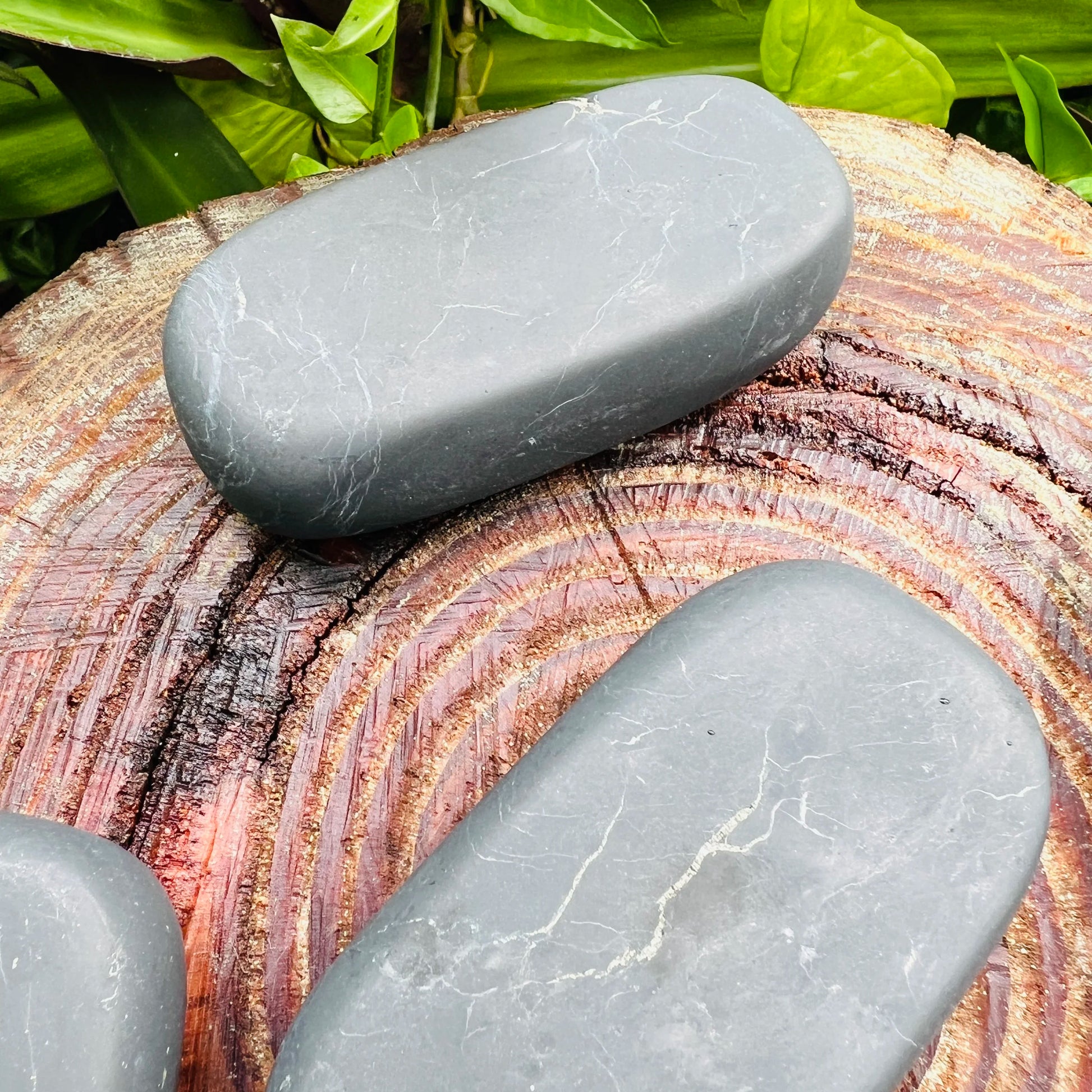 Grade type iii - regular grade shungite palm stone held in hand for size reference