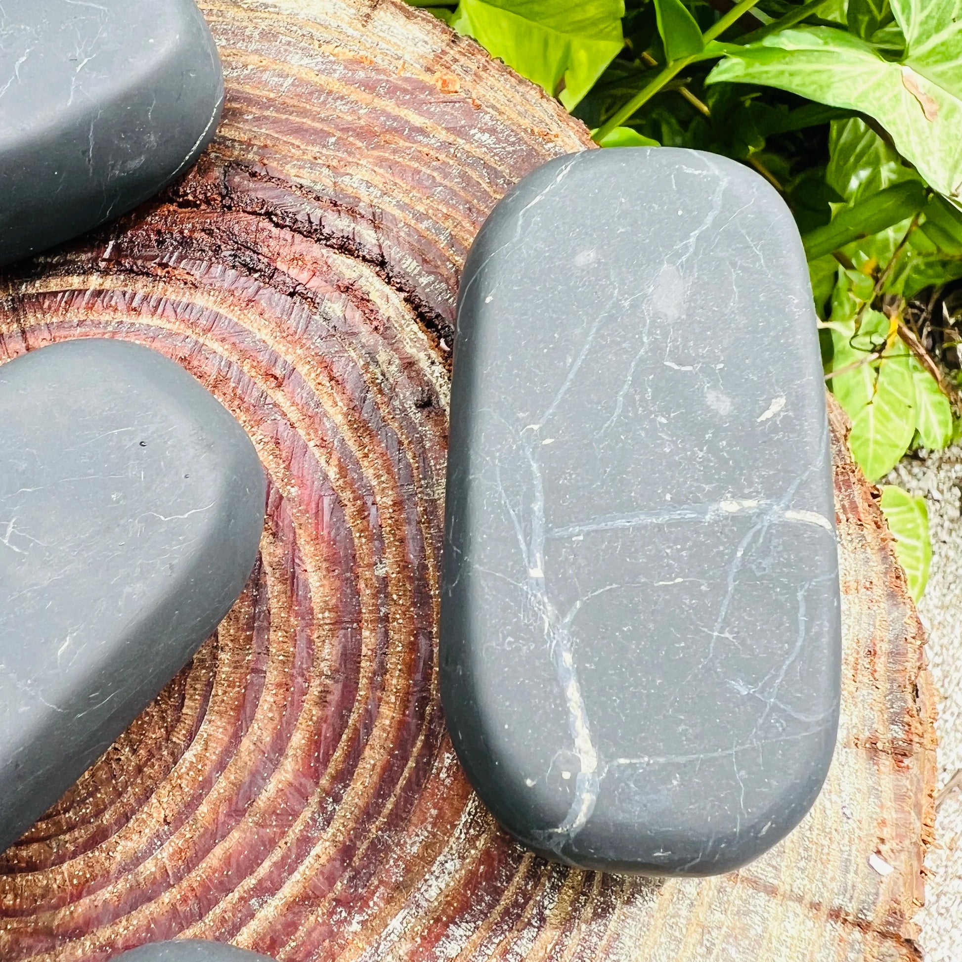 Back view of Grade Type III - Regular Grade Shungite palm stone showing natural surface