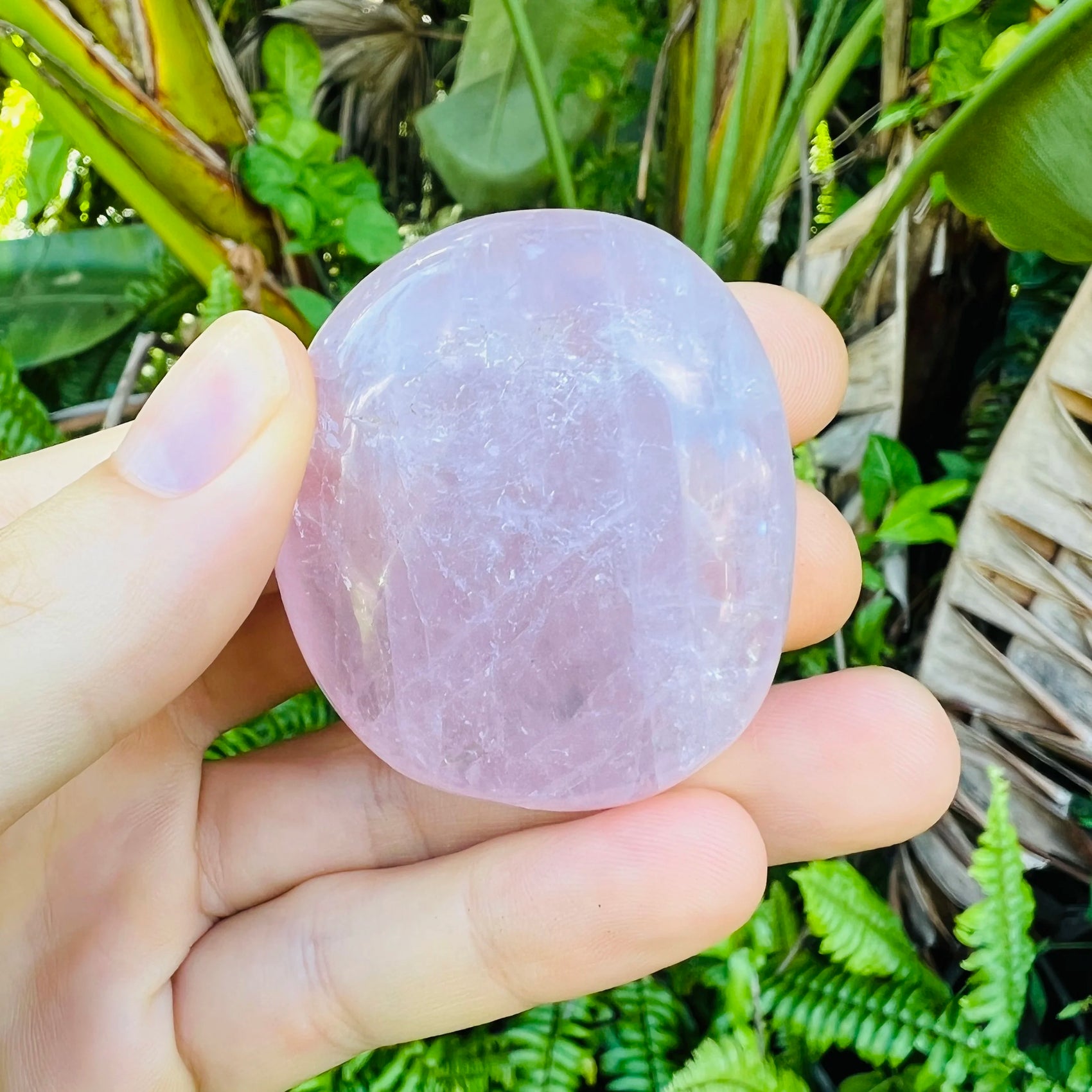 Close-up of Rose Quartz palm stone from Madagascar, soothing wellness stone for Emotional Healing