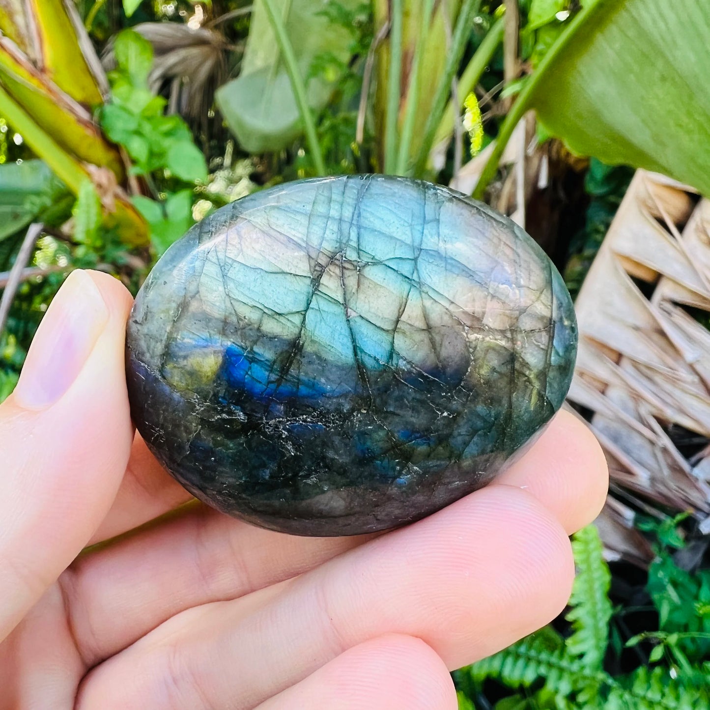 Held in palm of a Labradorite palm stone, from Atsimo-Andrefana, Madagascar, associated with Manifestation, shown at hand scale.