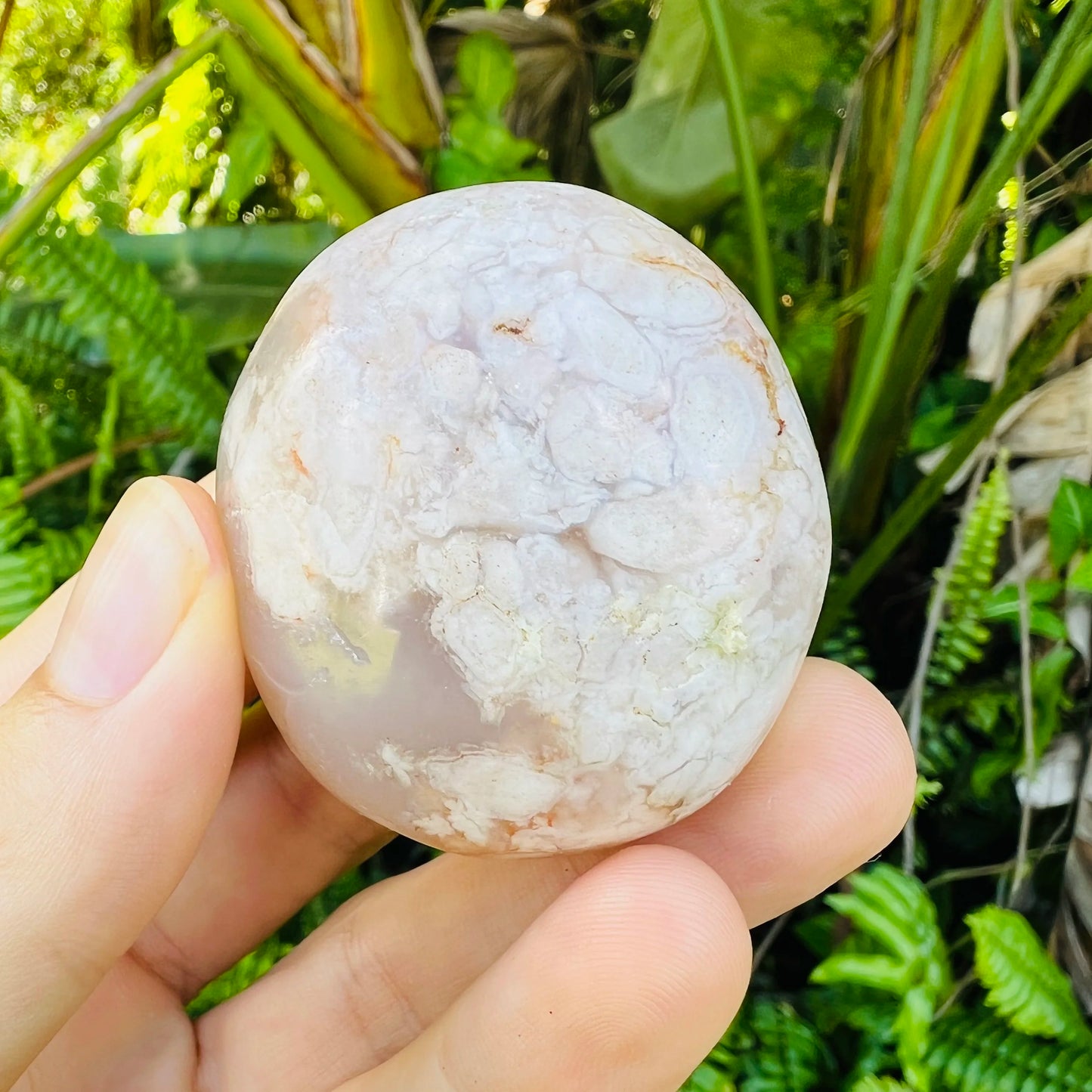 Back view of Grade AA Flower Agate palm stone showing natural surface