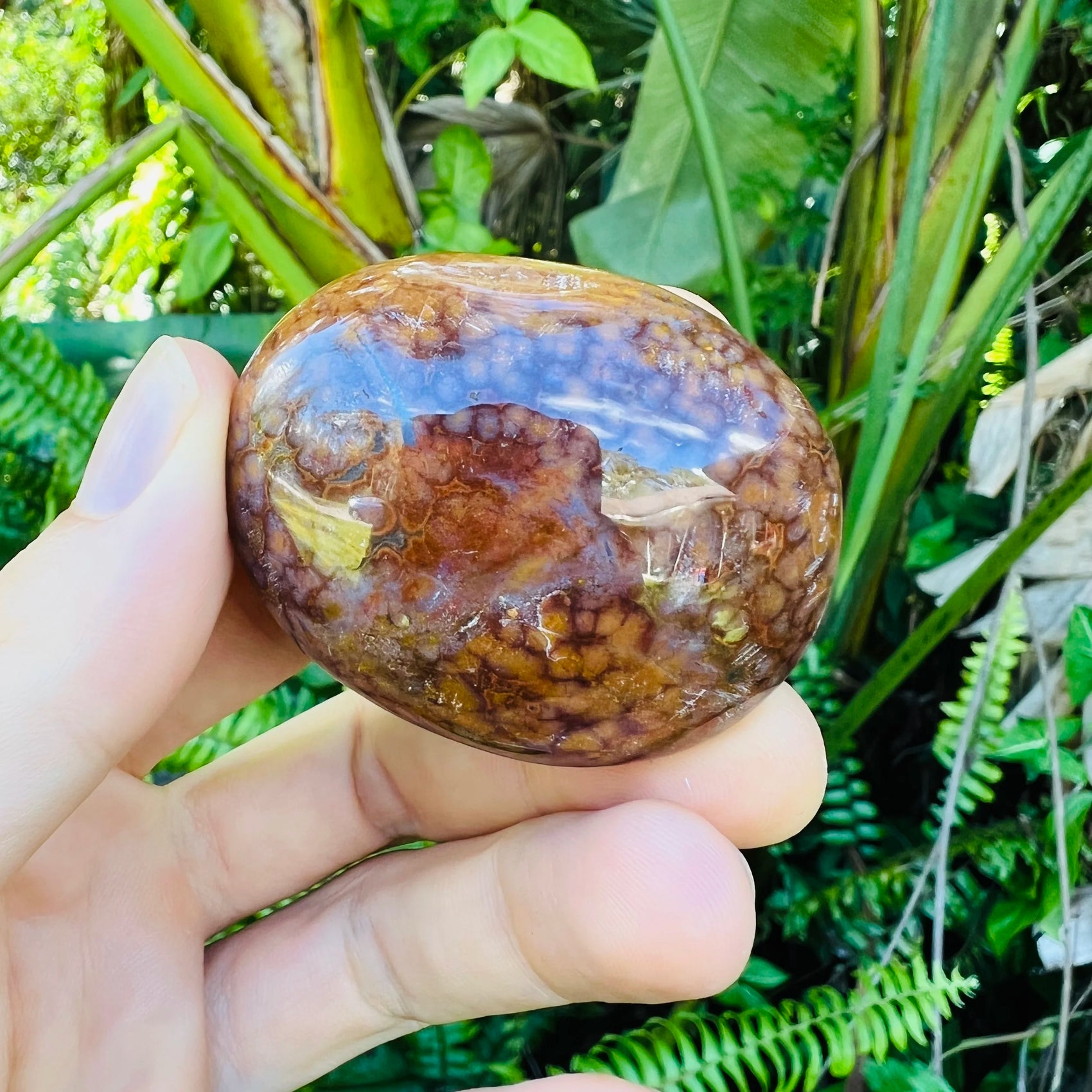 Full profile of Grade AA Ocean Jasper palm stone ready to ship from Beyond Bohemian