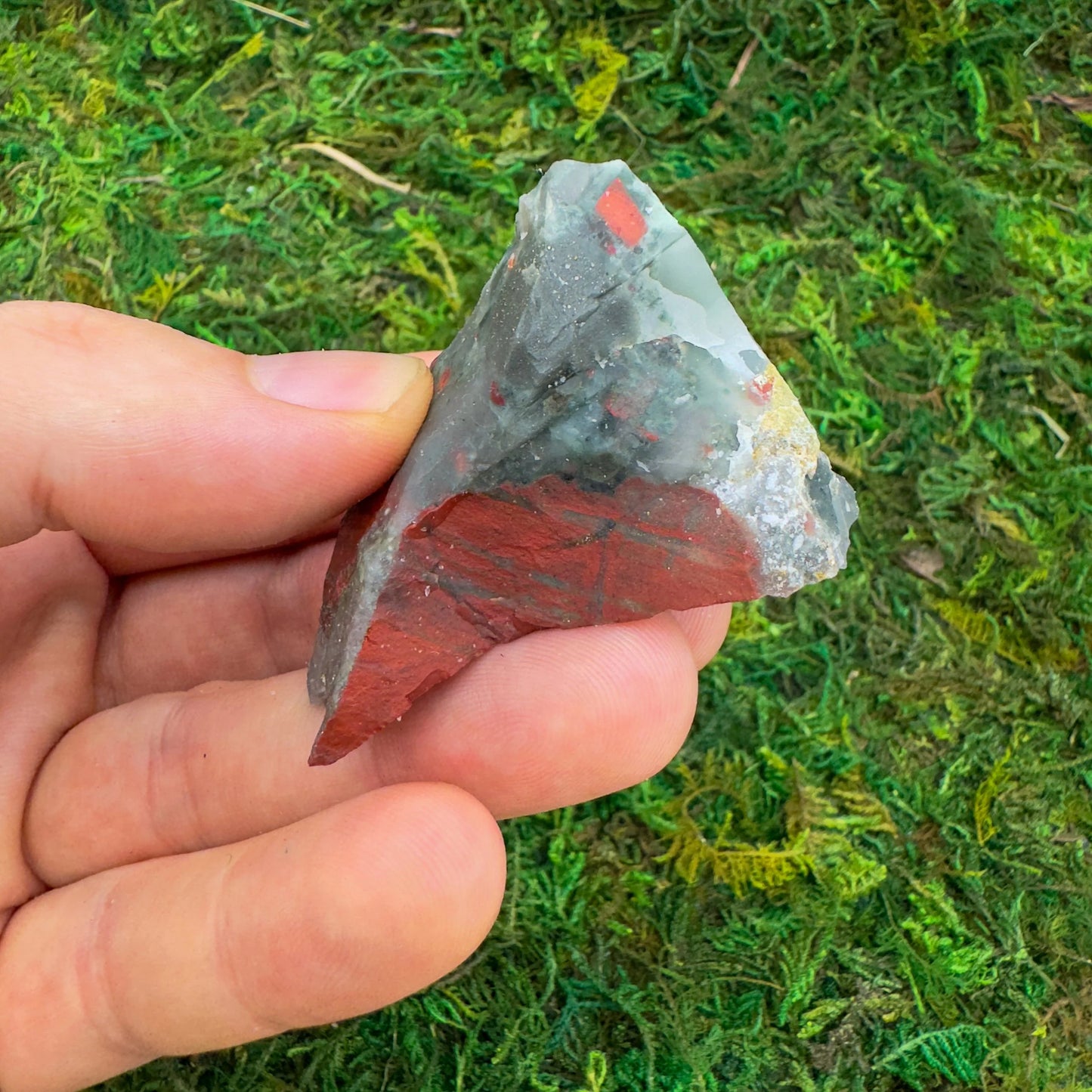 Grade aa bloodstone raw held in hand for size reference