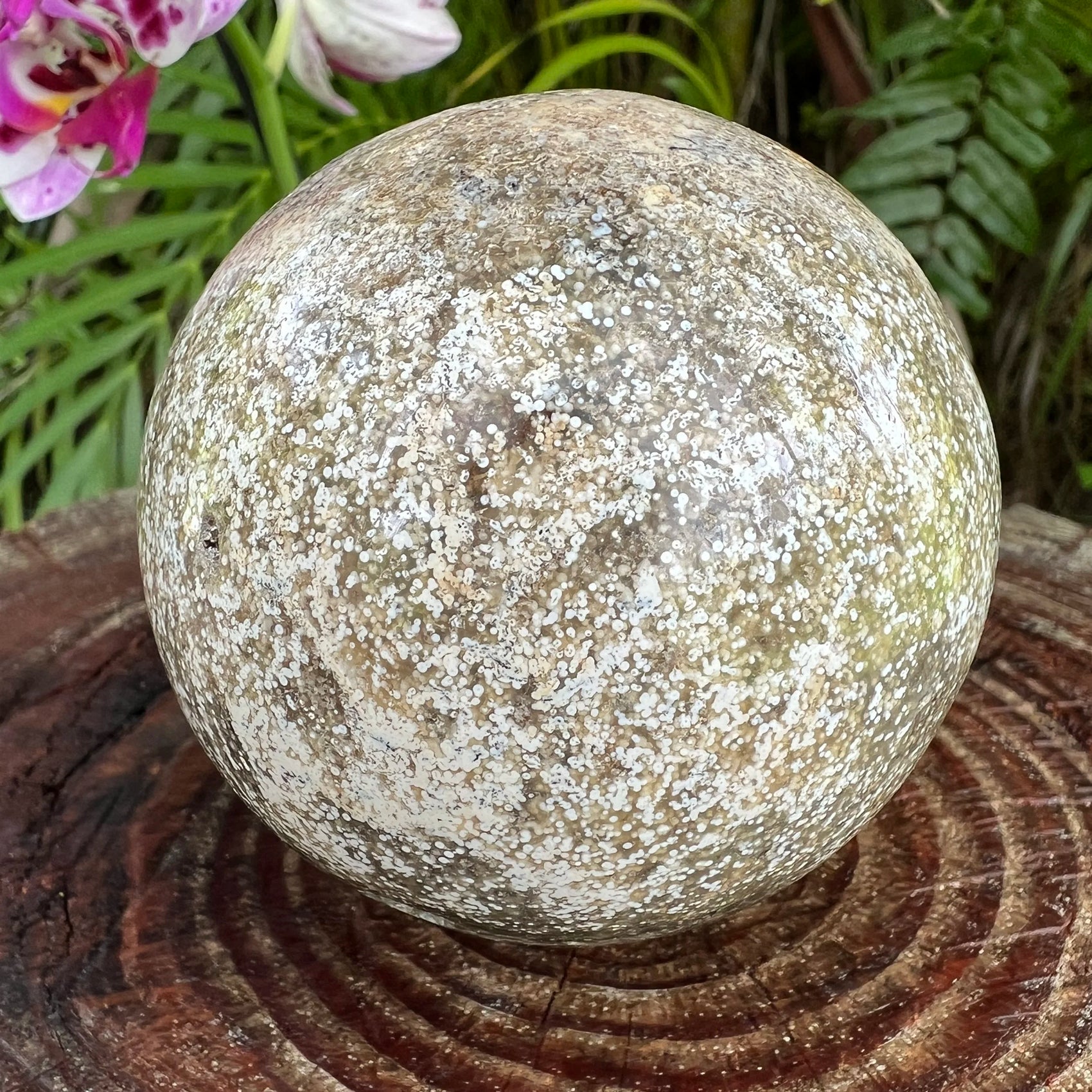 Macro view of Ocean Jasper polished sphere, hand-selected from Sofia, Madagascar.