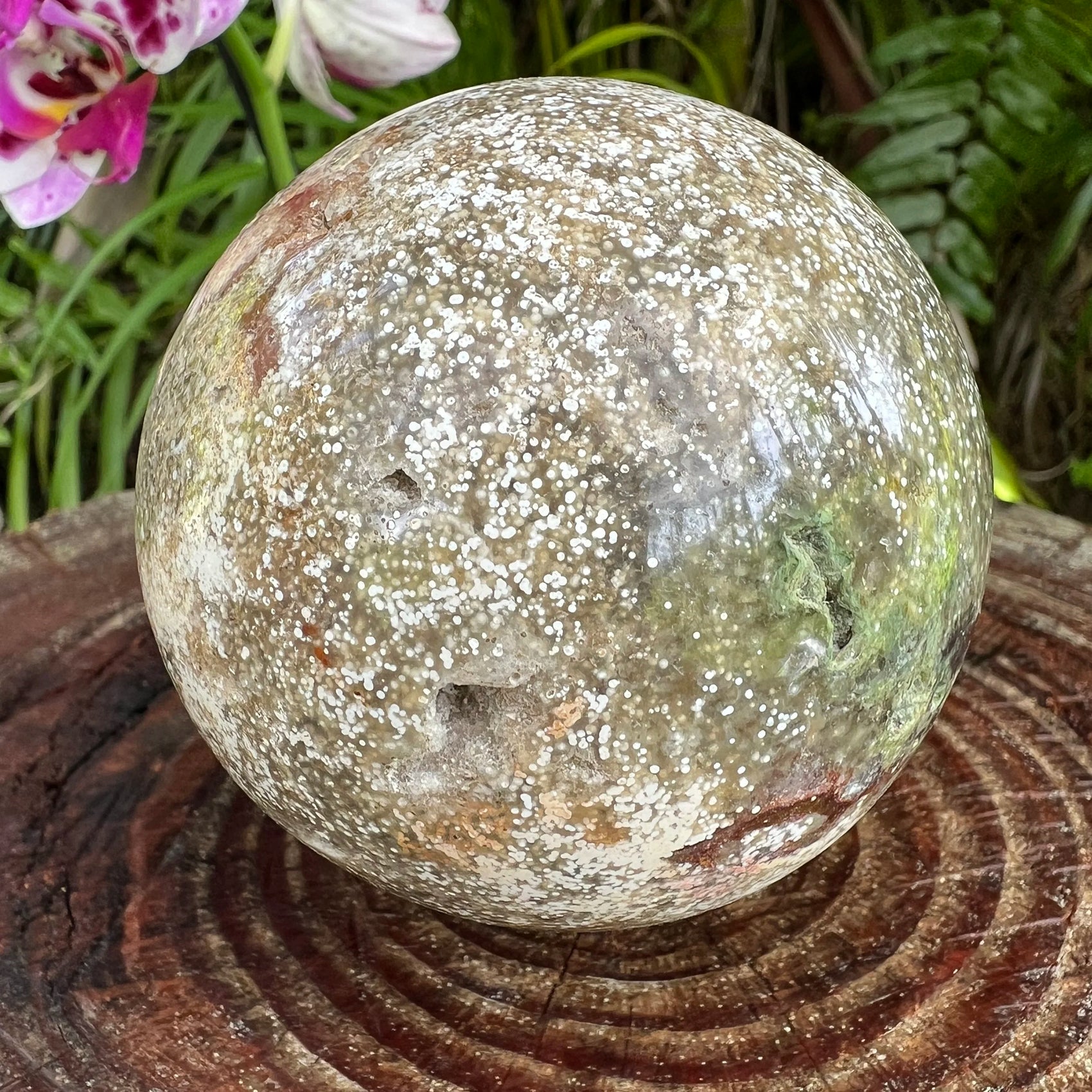 Overhead view of Ocean Jasper polished sphere, often paired with practices around Emotional Healing.