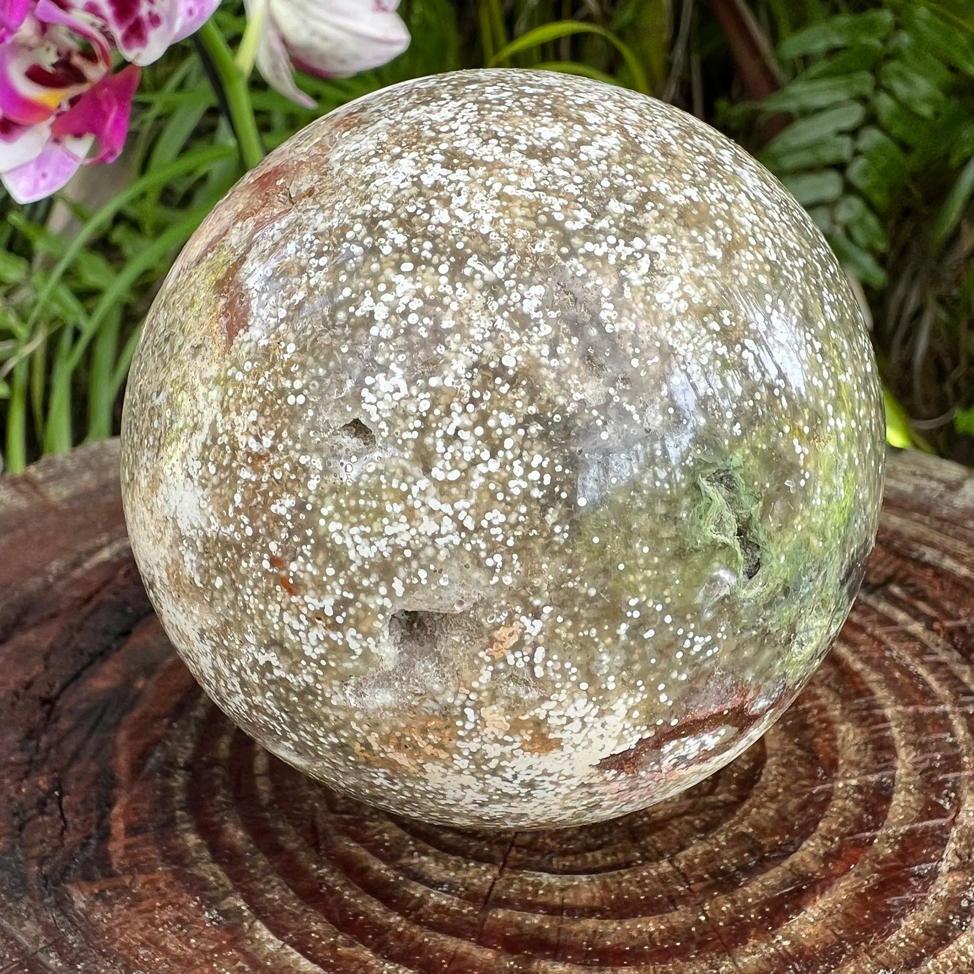 Overhead view of Ocean Jasper polished sphere, often paired with practices around Emotional Healing.