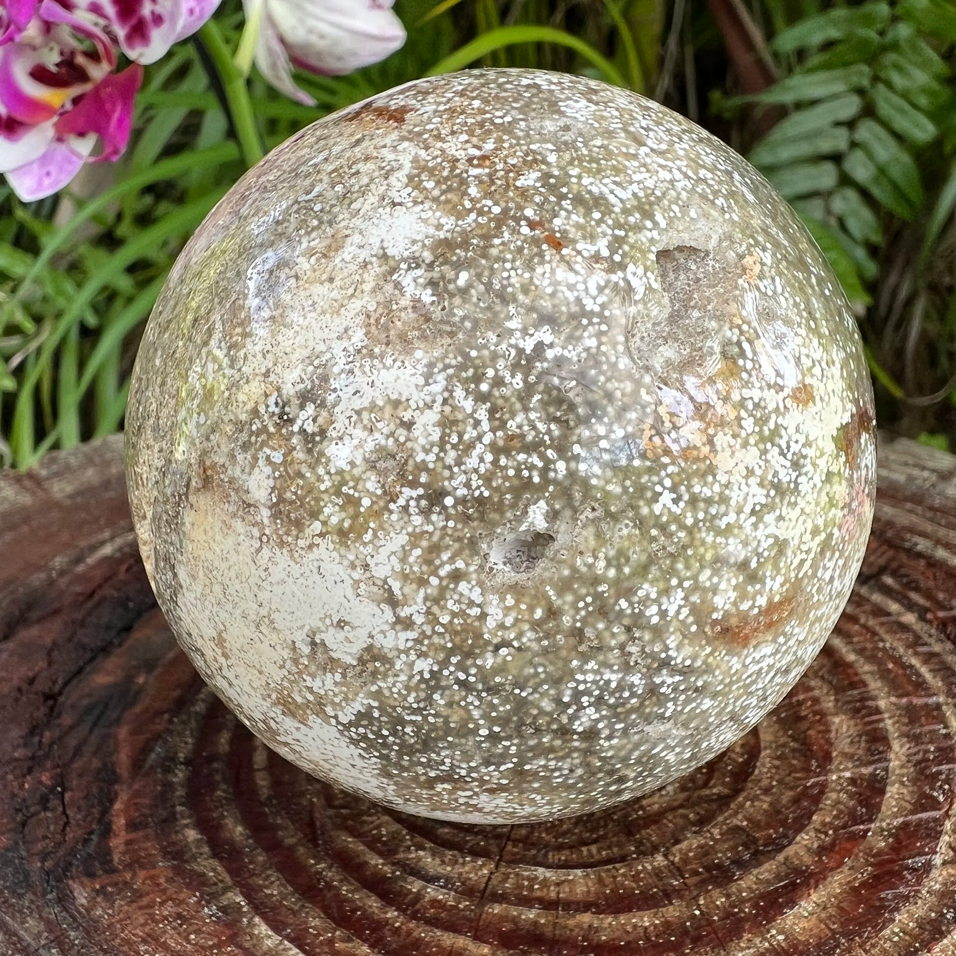Bottom side of Ocean Jasper polished sphere, from Madagascar, showing characteristic color.