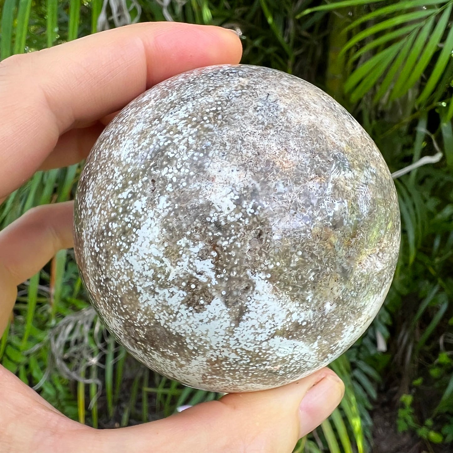 Back view of Grade AA Ocean Jasper sphere showing natural surface