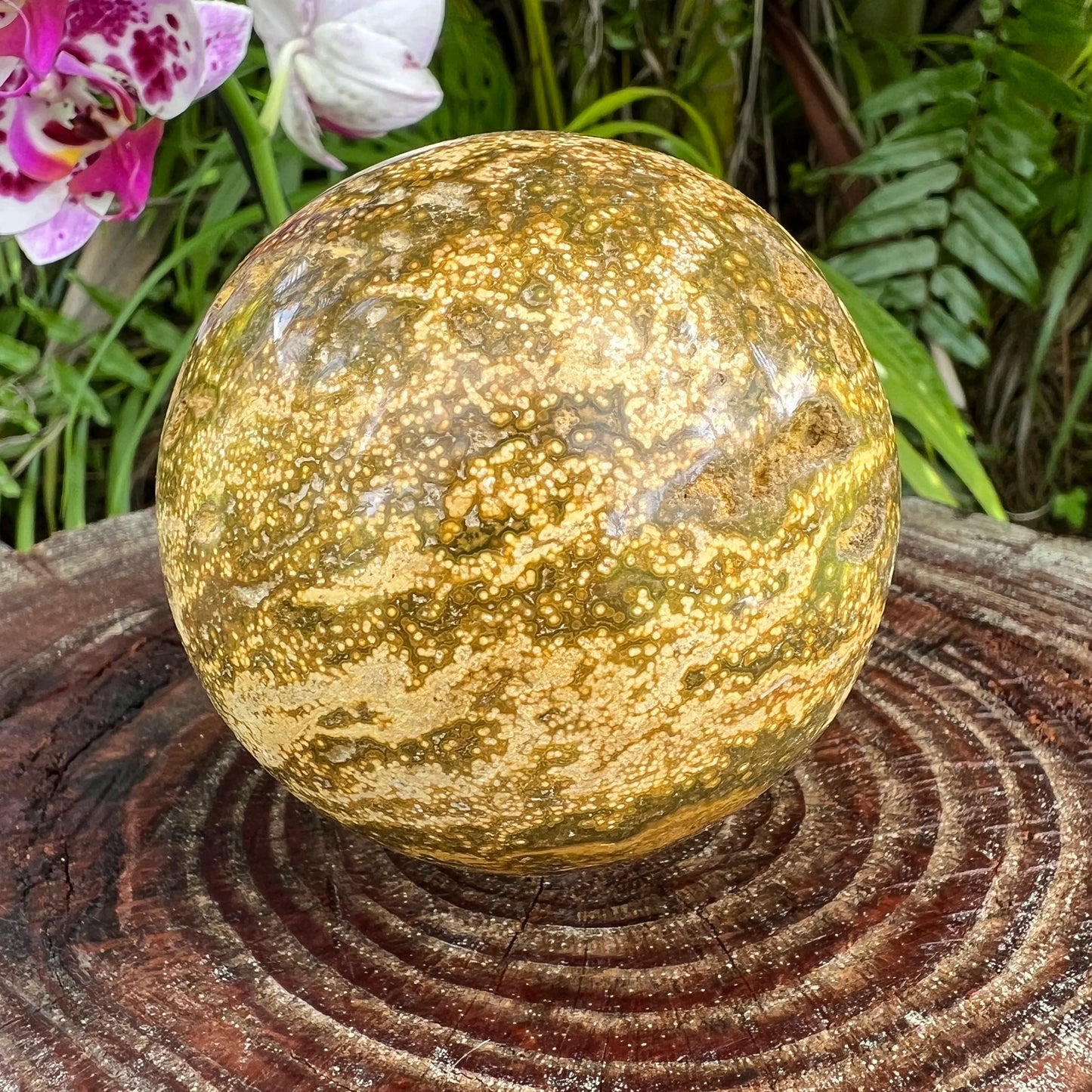 Full profile of Grade AA Ocean Jasper sphere ready to ship from Beyond Bohemian