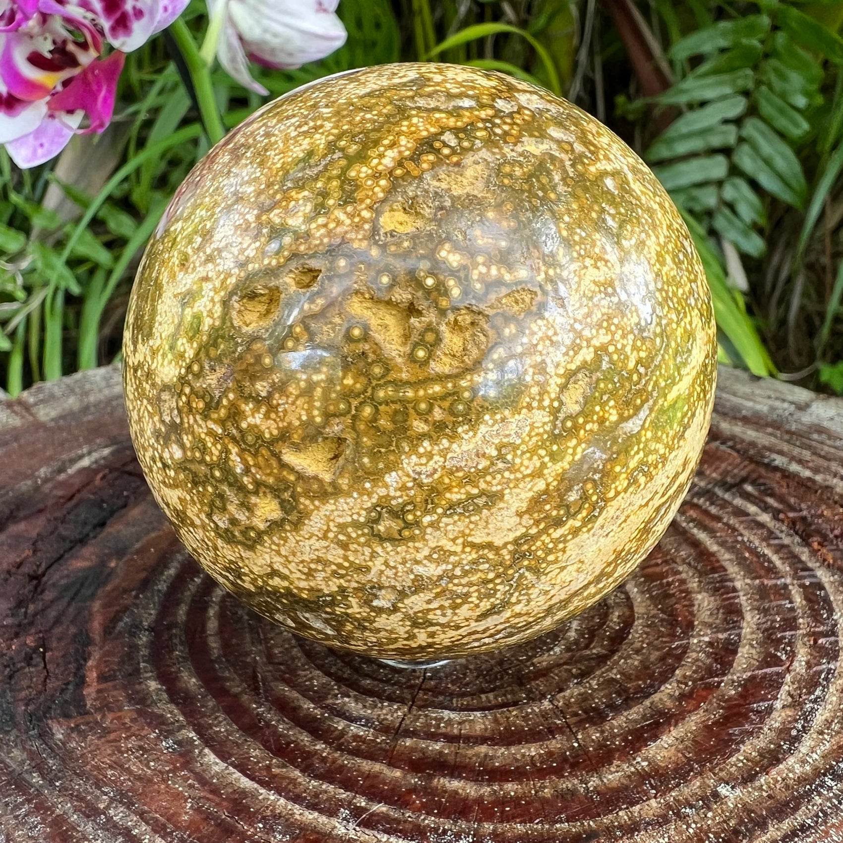 Detail shot of Grade AA Ocean Jasper sphere under natural light