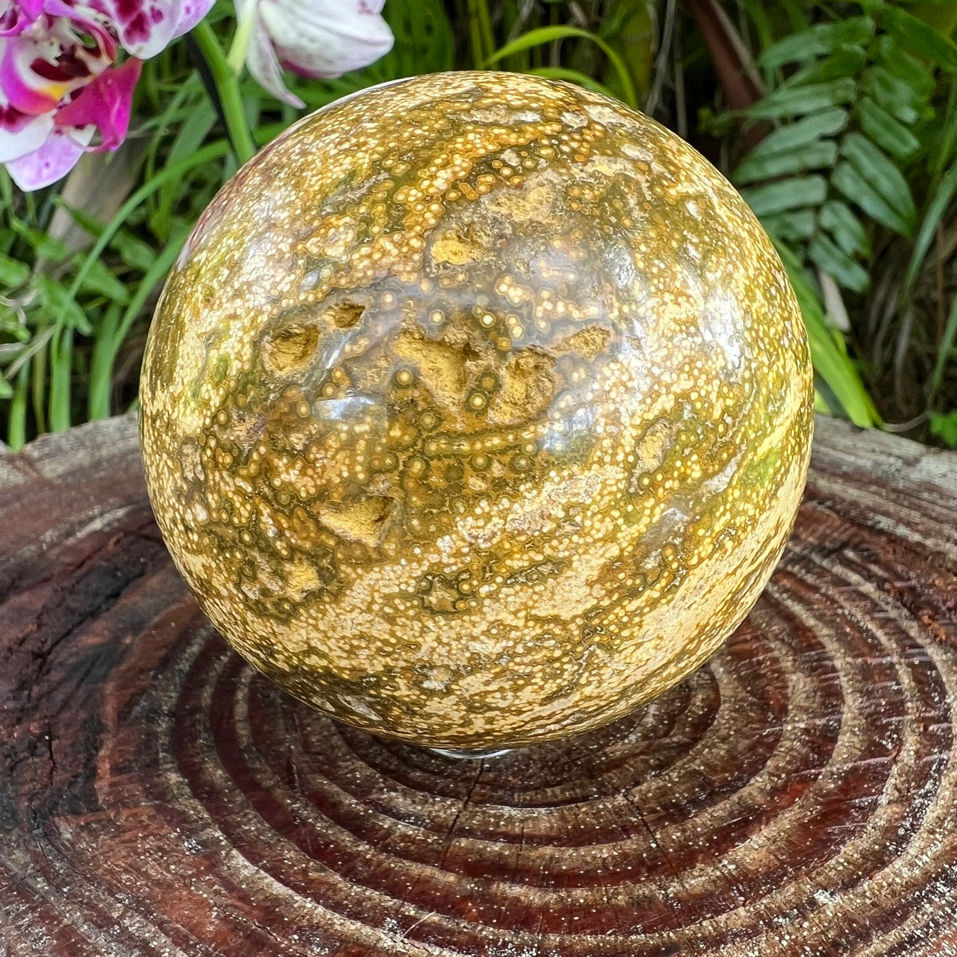 Detail shot of Grade AA Ocean Jasper sphere under natural light