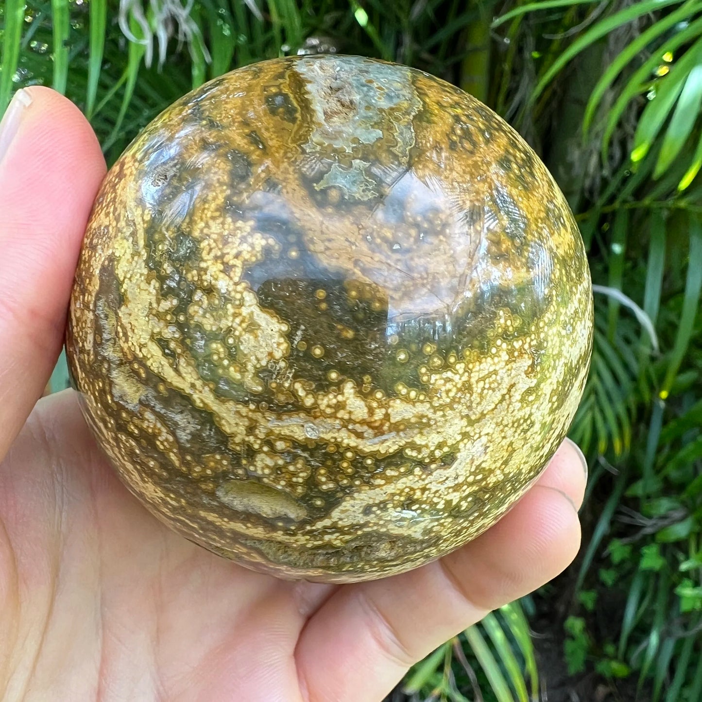 Hand-scale shot of a Ocean Jasper polished sphere held against natural backdrop.