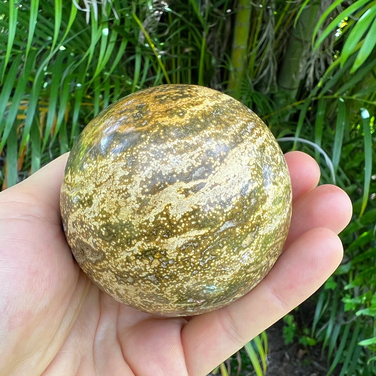 Wider context of Ocean Jasper stone, from Sofia, Madagascar, shown for shape and scale.