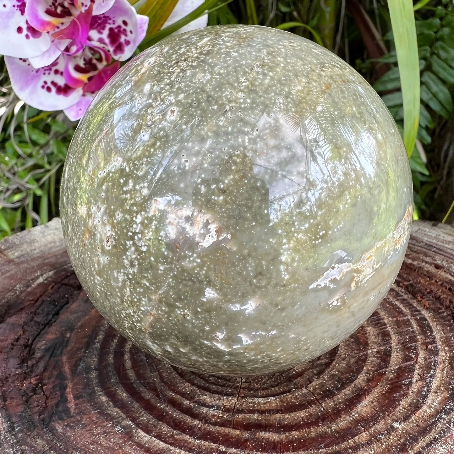Bottom side of Grade AA Ocean Jasper polished sphere, from Sofia, Madagascar, showing natural texture.