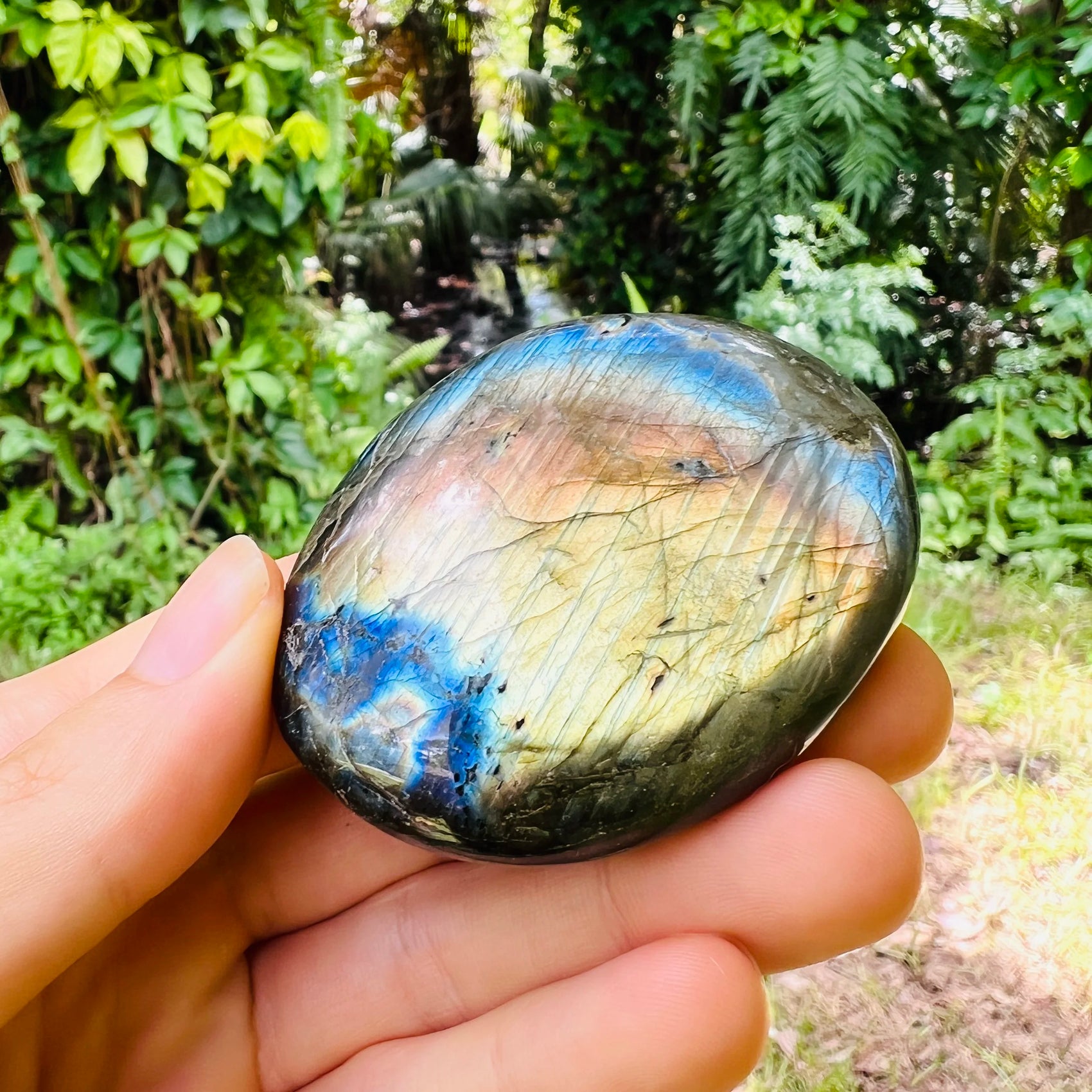 Back view of Labradorite palm stone, from Madagascar.
