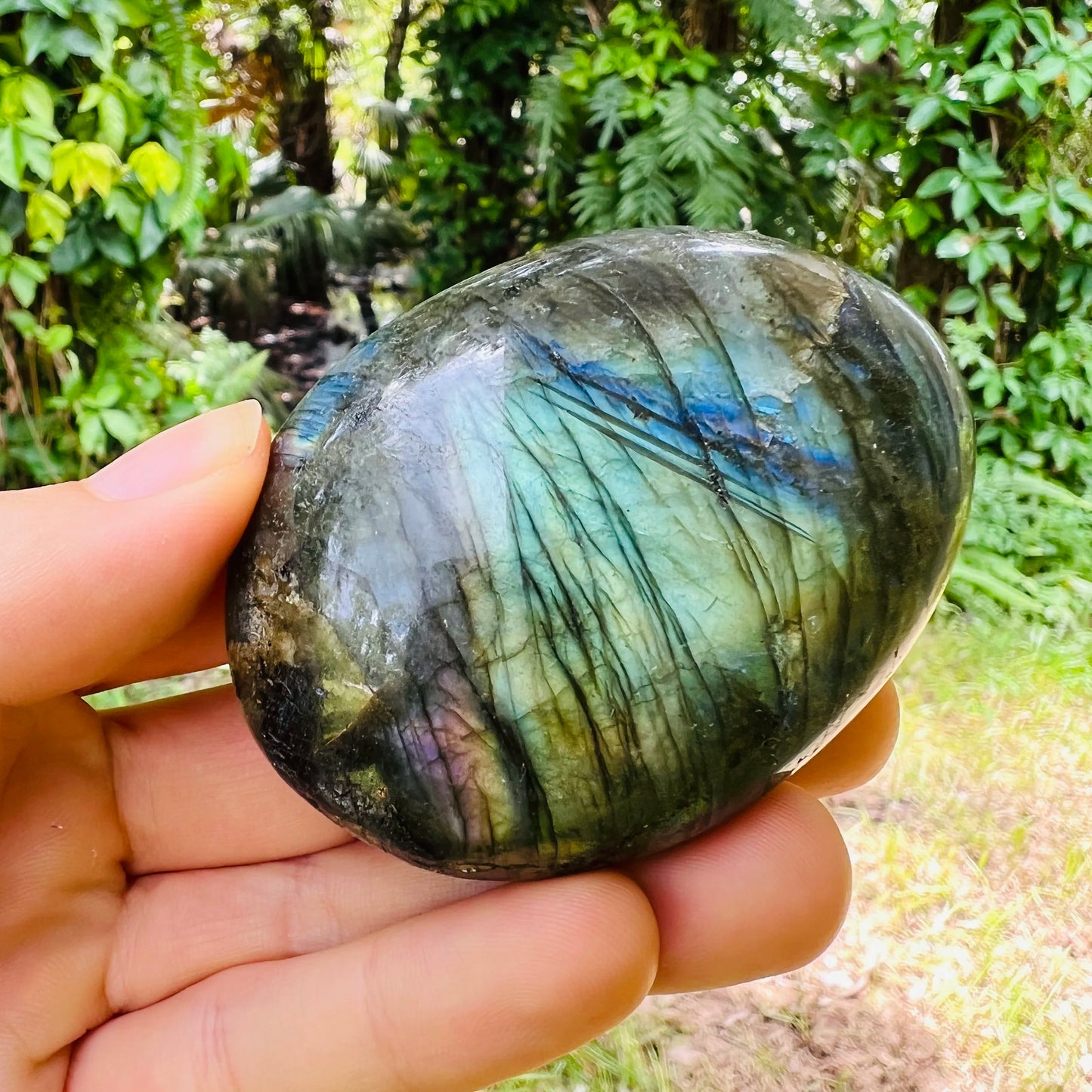 Plan view of Grade AAA Labradorite palm stone, showing matte finish.