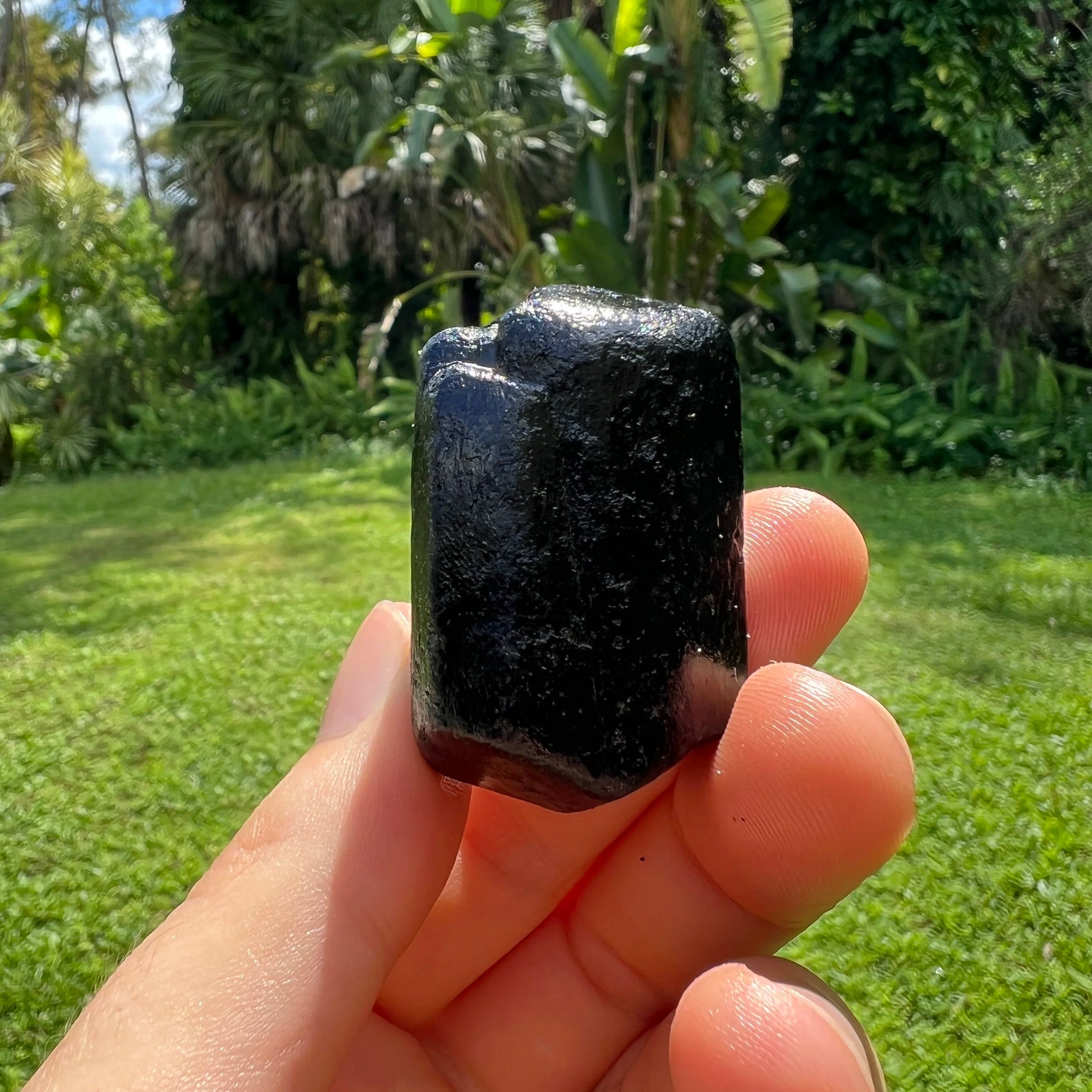 Size comparison with a Black Tourmaline raw stone held against natural backdrop.