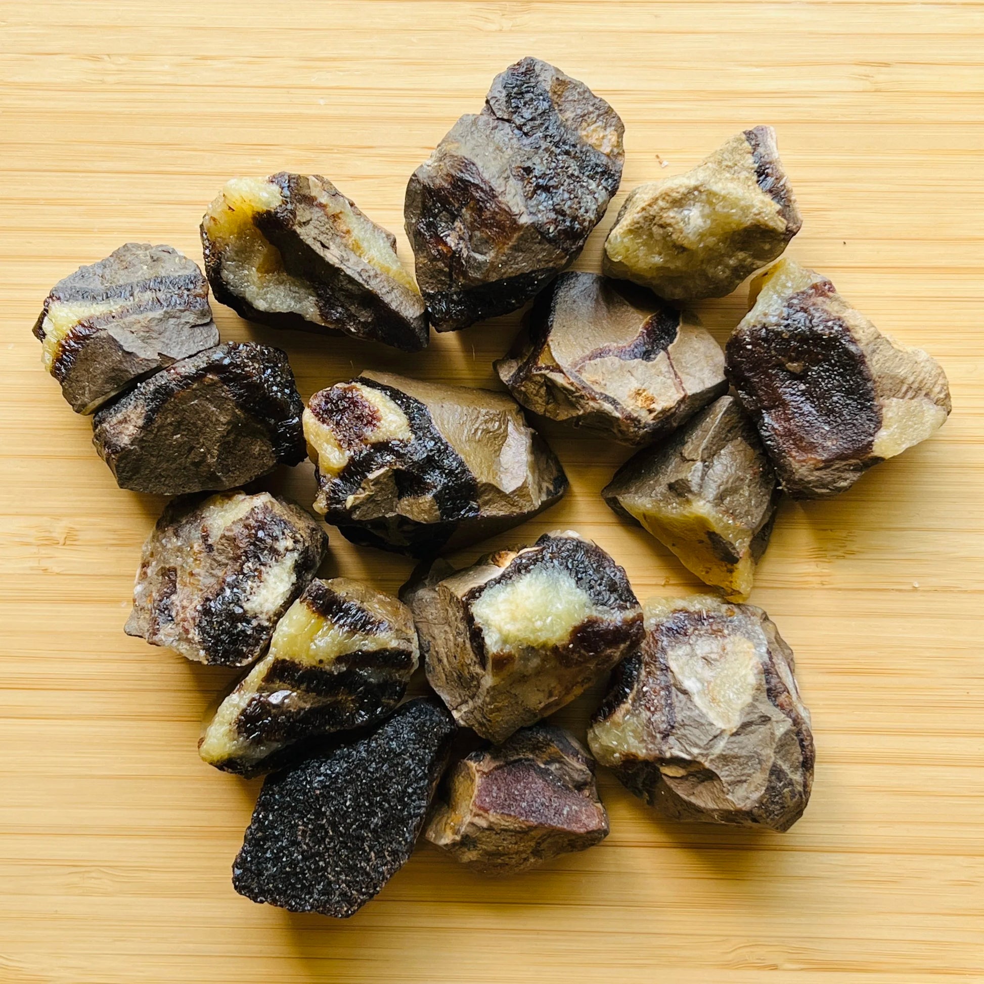 Full profile of Grade AA Septarian raw ready to ship from Beyond Bohemian