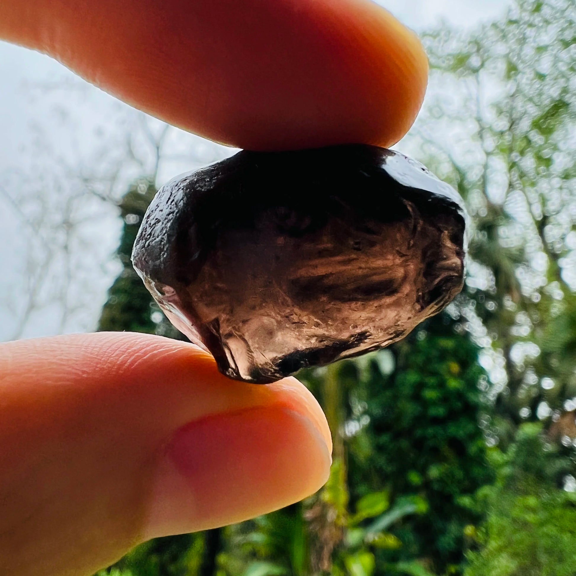 Sideways view of Grade AA Apache Tear raw stone, from United States, showing earthy tone.