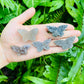 Full profile of Grade A Amethyst polished crystals & decor ready to ship from Beyond Bohemian
