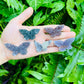 Full profile of Grade A Amethyst polished crystals & decor ready to ship from Beyond Bohemian