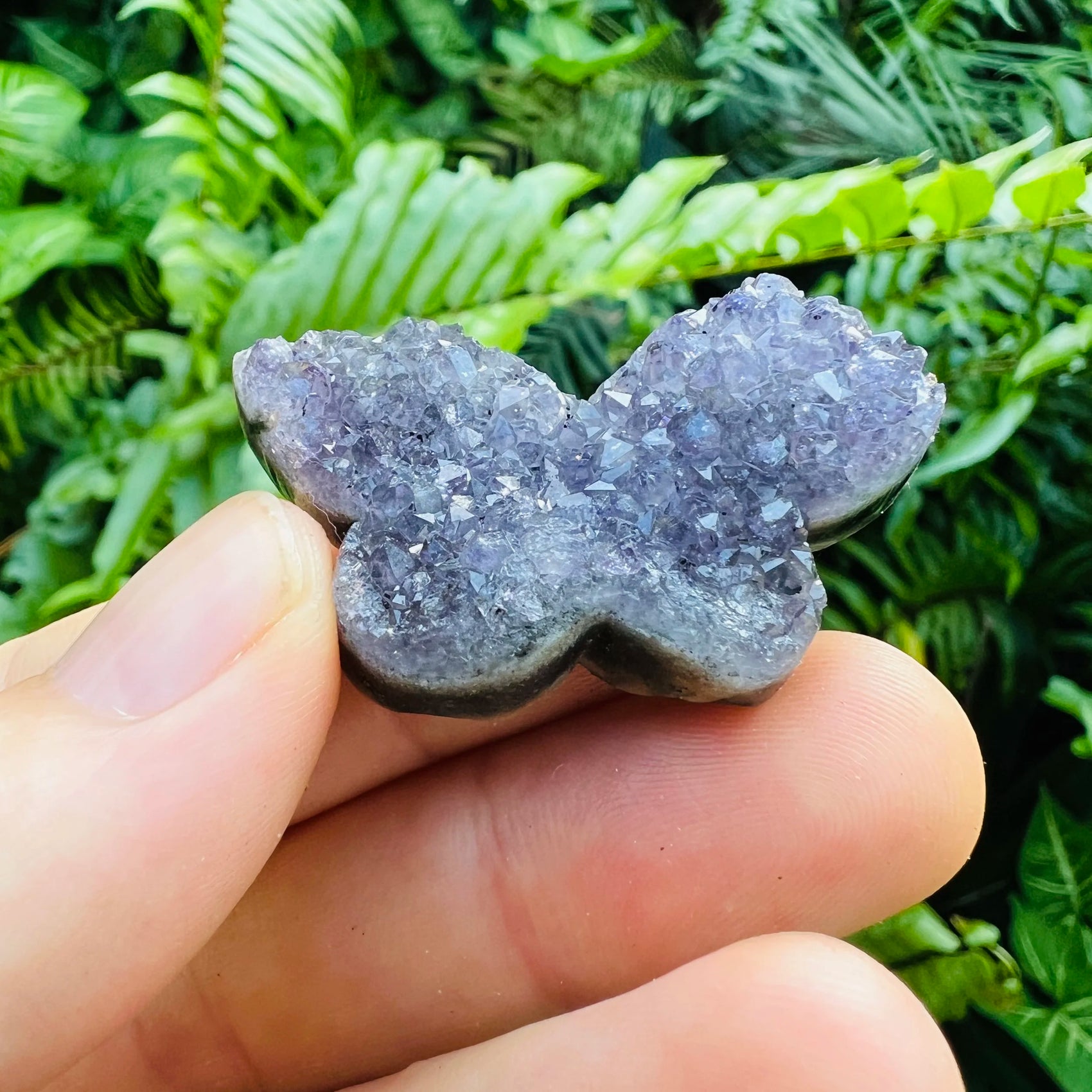 Plan view of purple Amethyst polished butterfly, Uruguay-sourced, for Stress Relief and Sleep.