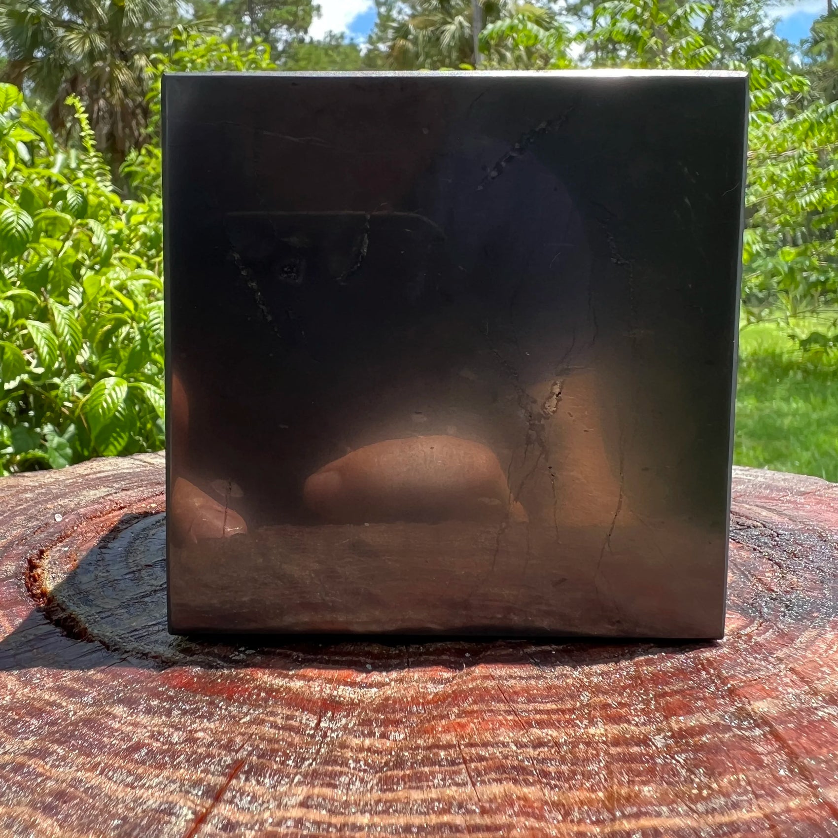 Full profile of Grade Type III - Regular Grade Shungite polished crystals & decor ready to ship from Beyond Bohemian