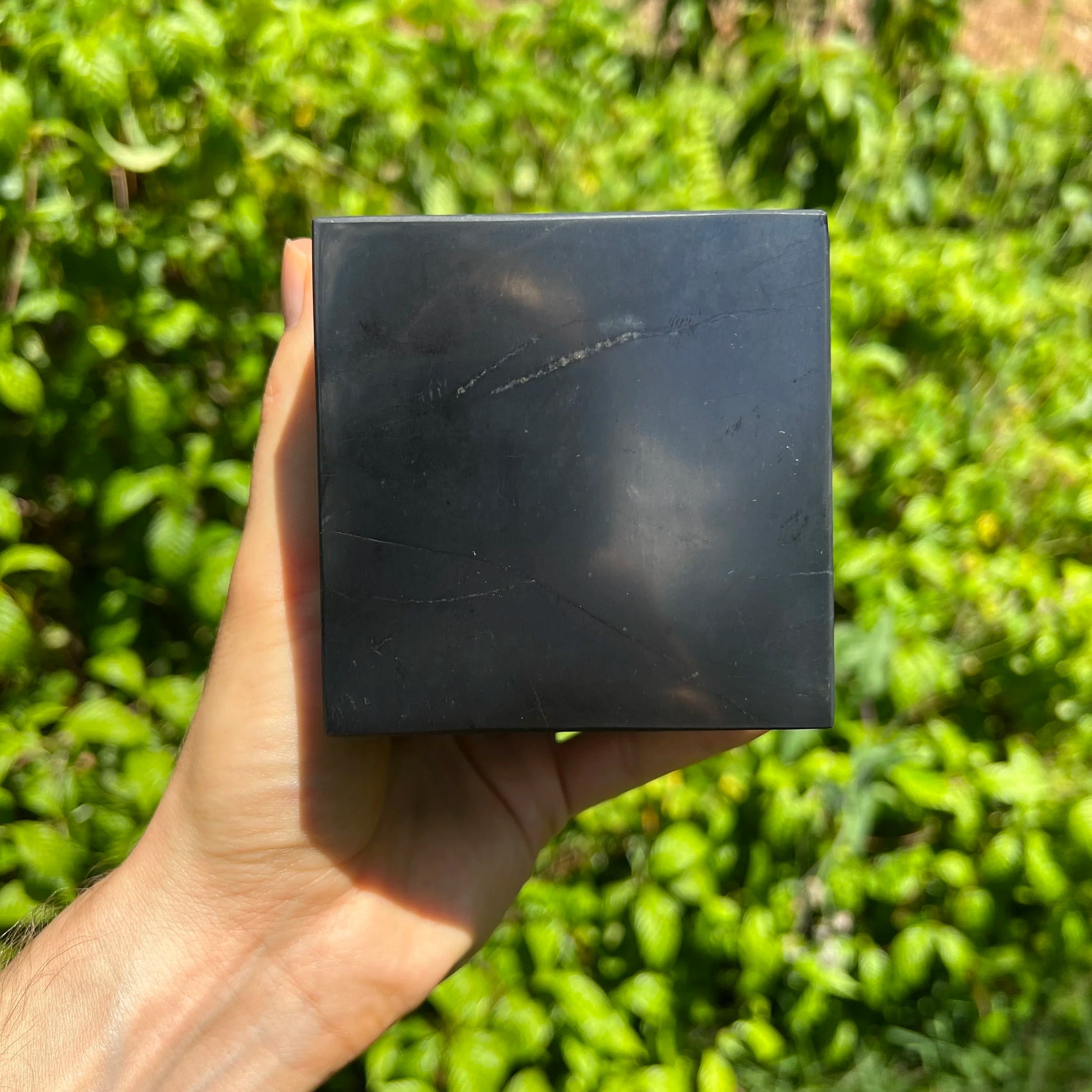 Daylight detail of Shungite stone, from Republic of Karélia, Russia, traditionally used for Stress Relief, showing the piece in repose.
