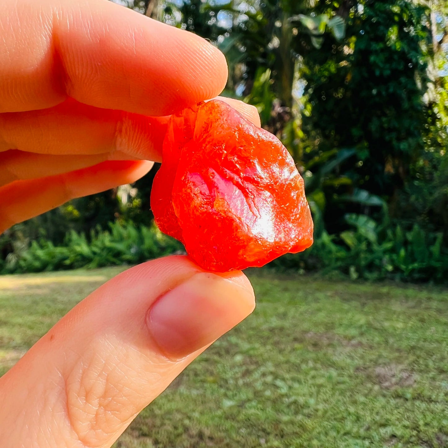 Full profile of Grade A Carnelian raw ready to ship from Beyond Bohemian