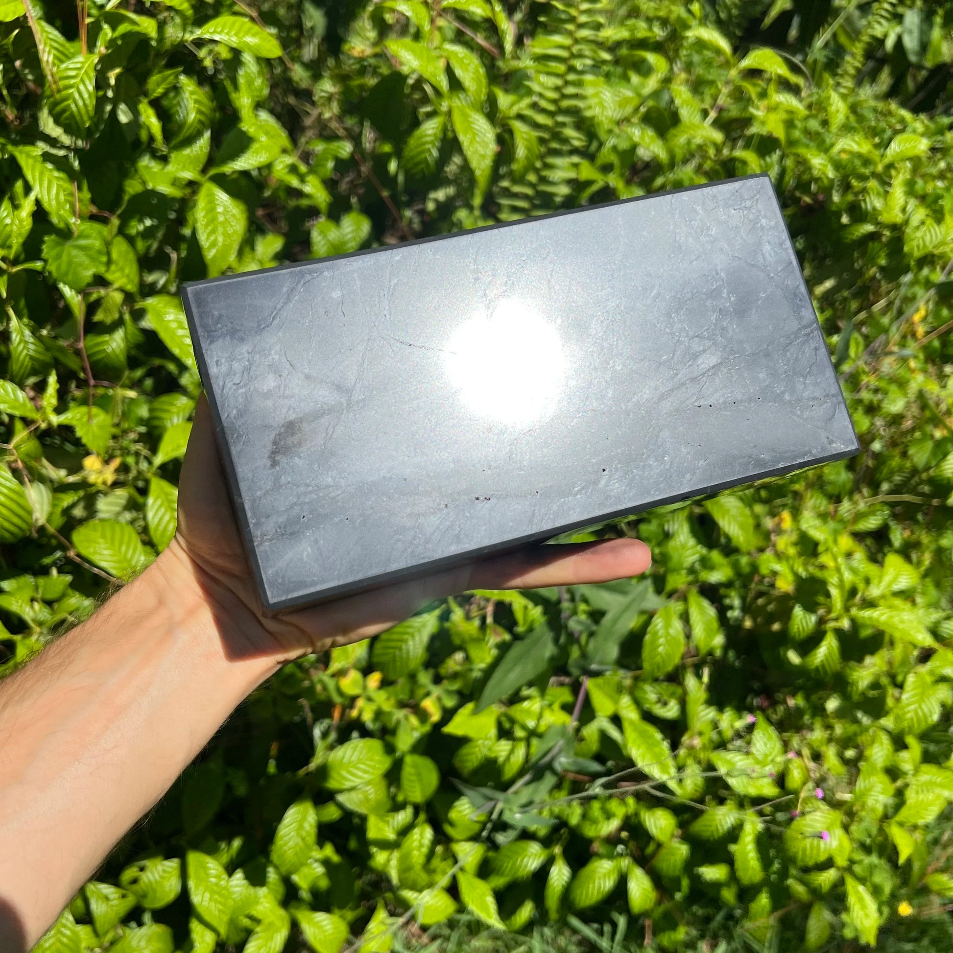 Size comparison with one Shungite polished block for scale, sourced from Republic of Karélia, Russia.