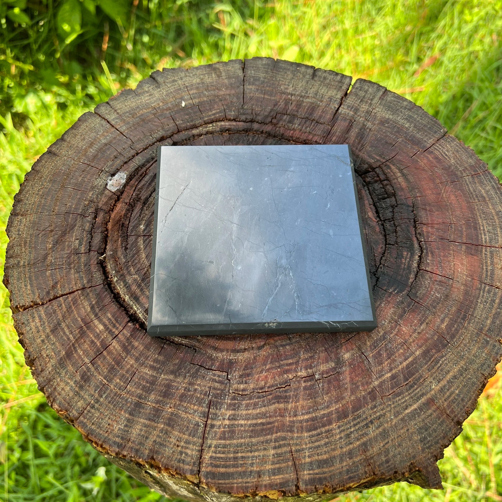 Underside view of black Shungite polished slab, showing characteristic patterning.