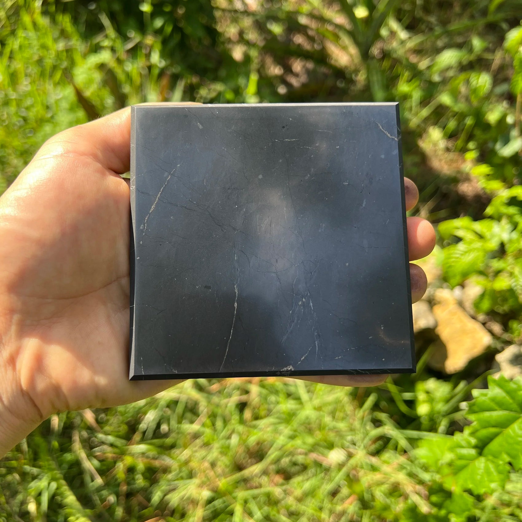 Palm-scale view of one Shungite polished slab for scale, hand-selected from Republic of Karélia, Russia.