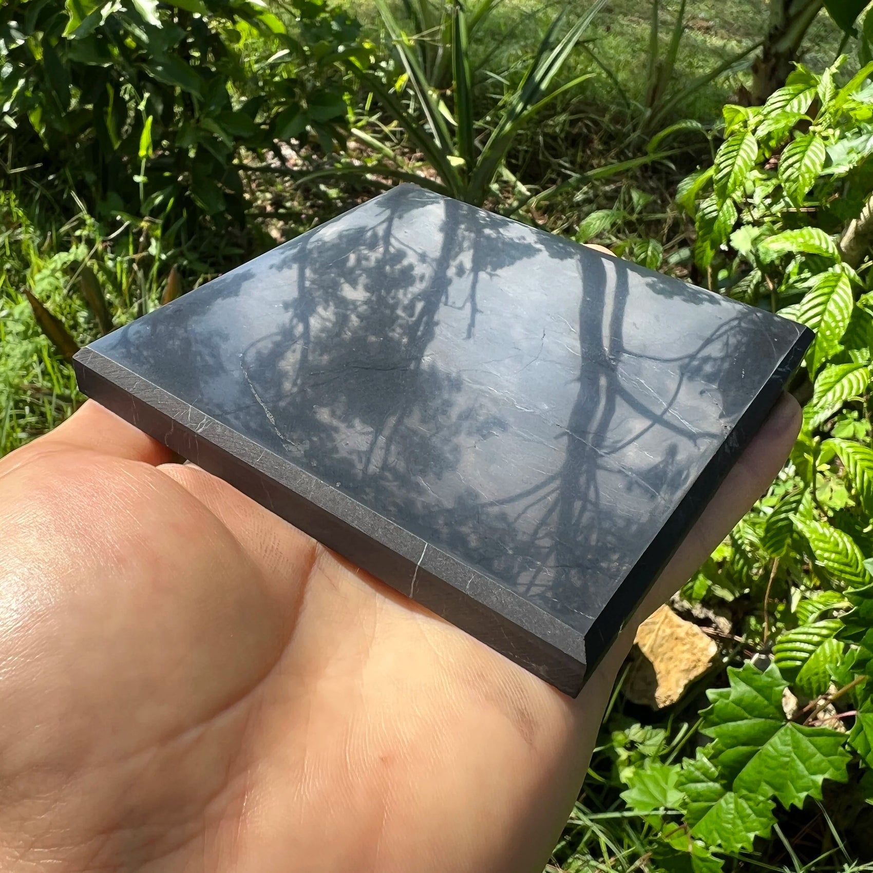 Detail shot of Grade Type III - Regular Grade Shungite slab under natural light