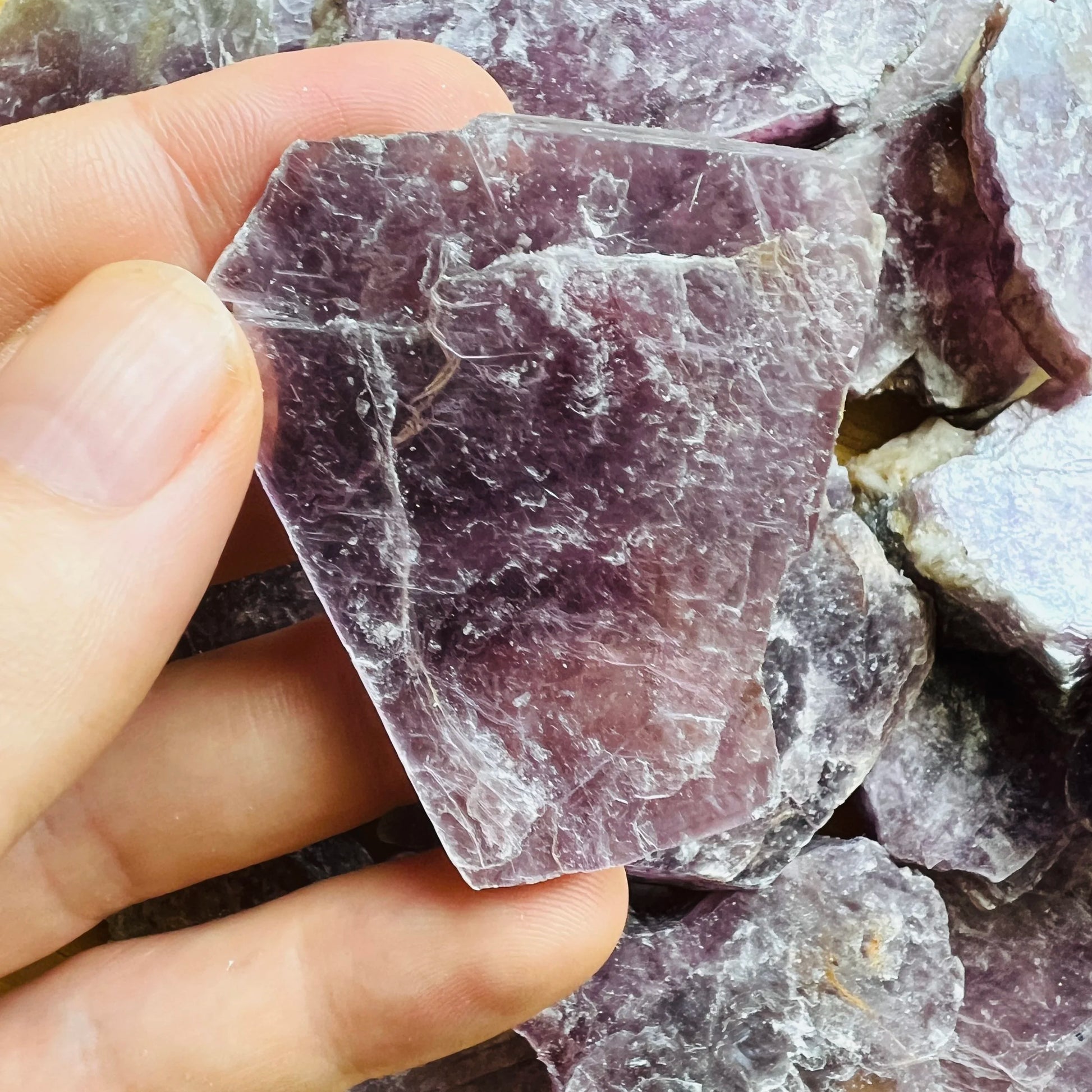 Grade aa lepidolite raw held in hand for size reference