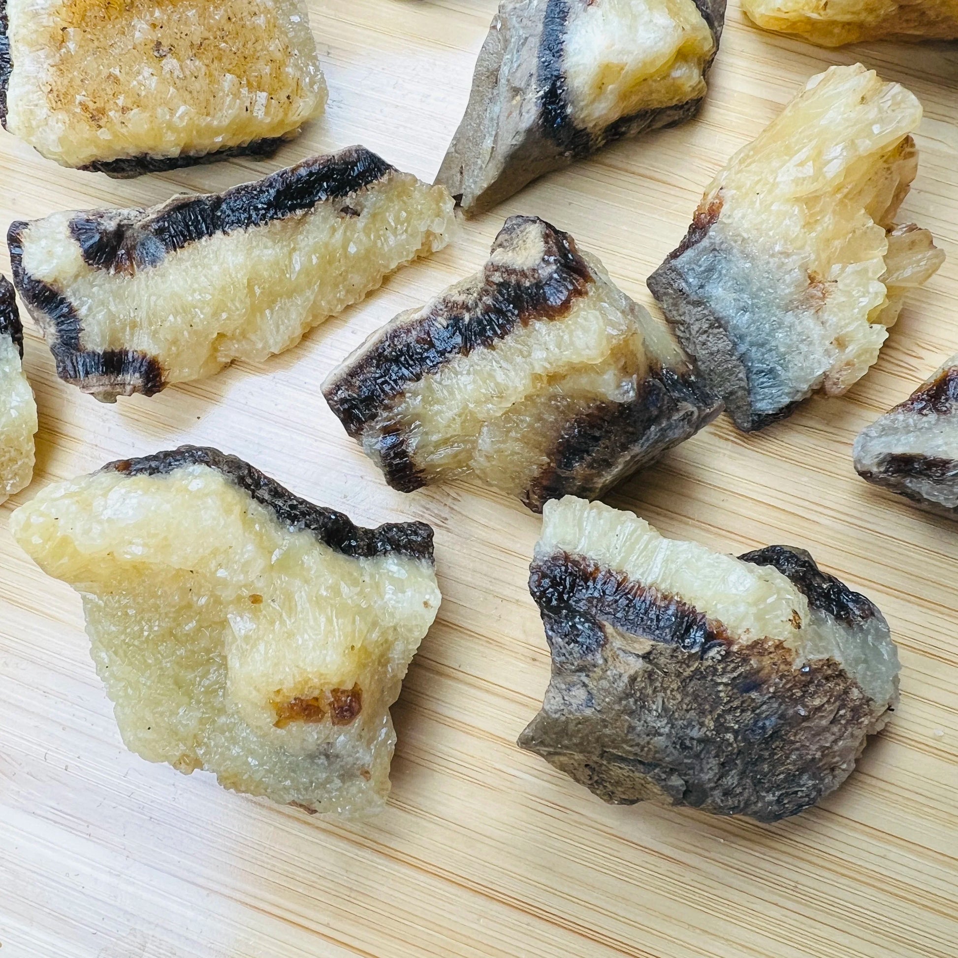 Full profile of Grade AA Septarian raw ready to ship from Beyond Bohemian