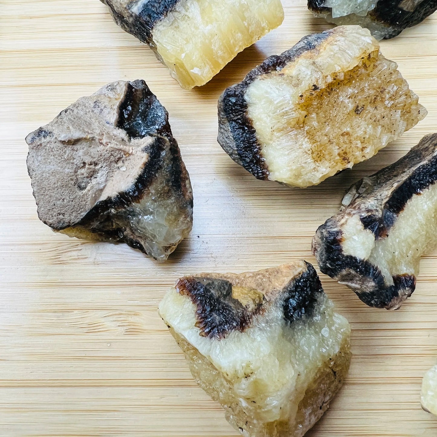 Full profile of Grade AA Septarian raw ready to ship from Beyond Bohemian